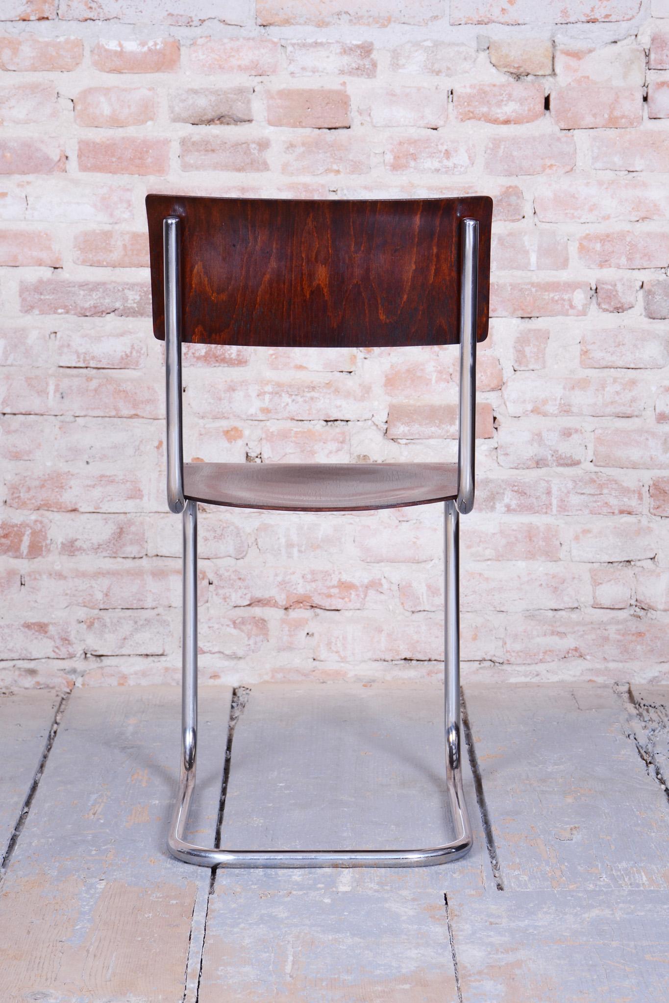Chaise Bauhaus restaurée de Mart Stam pour R. Slezak, en hêtre, chrome, tchèque, années 1920 en vente 1