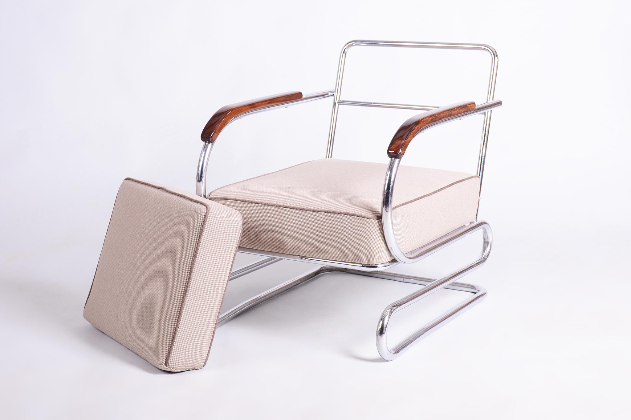 Ceco Sedia a doppia sospensione Bauhaus restaurata, Halabala, UP Zavody, Oak, Repubblica Ceca, anni '30 in vendita