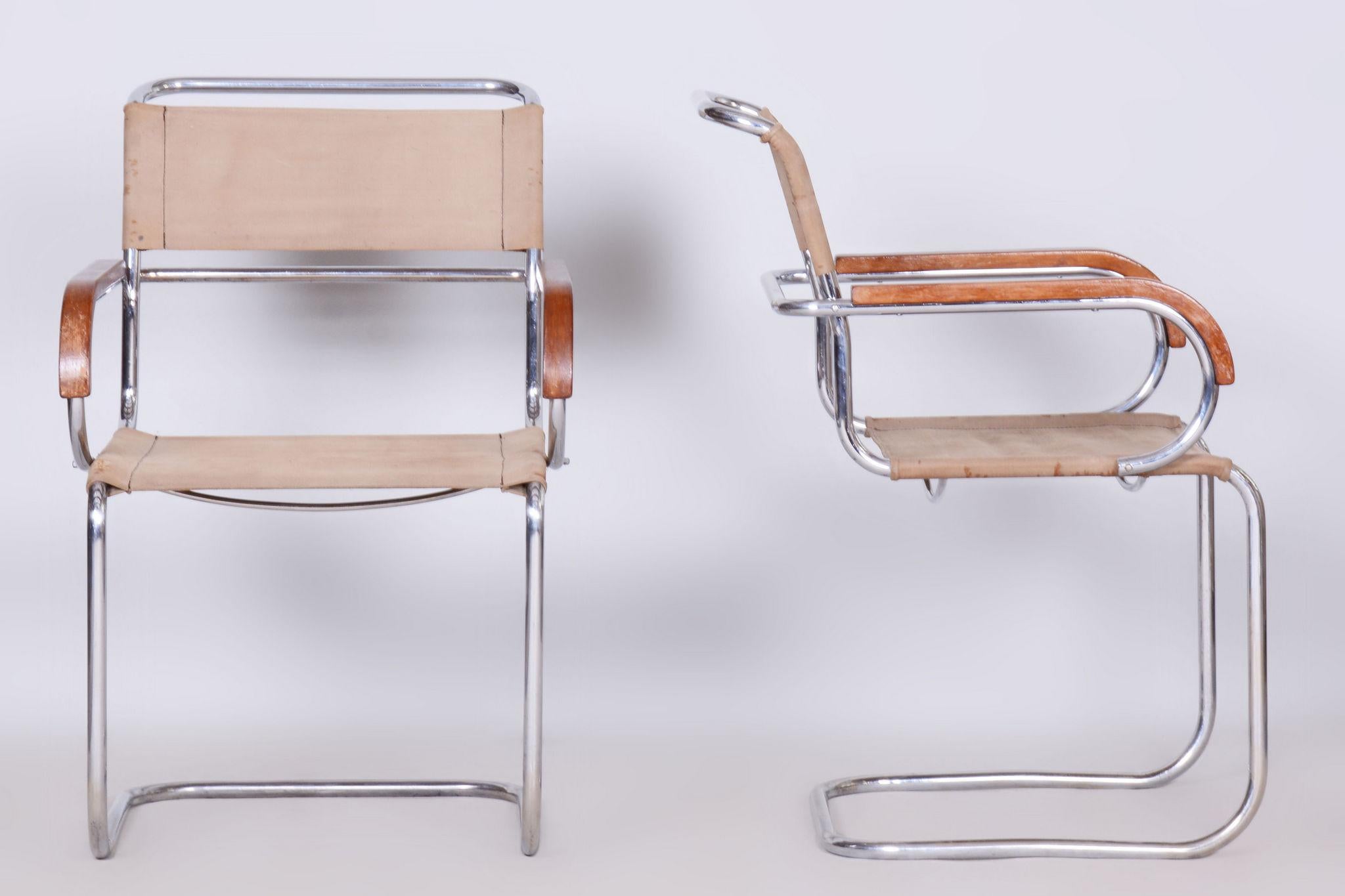 Milieu du XXe siècle Paire de chaises Bauhaus restaurées, Anton Lorenz, Mücke & Melder, République tchèque, années 1930 en vente