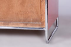 Restored Bauhaus Pair of Wardrobes, H. J. Hagemann, Thonet, Germany, 1930s