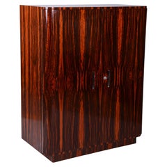 Restaurierter Bauhaus-Schrank, Ahorn, Makassar-Ebenholz, poliert, tschechisch, 1920er Jahre