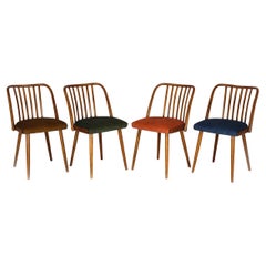 Set di 4 sedie da pranzo in faggio restaurate di Ton, anni '60