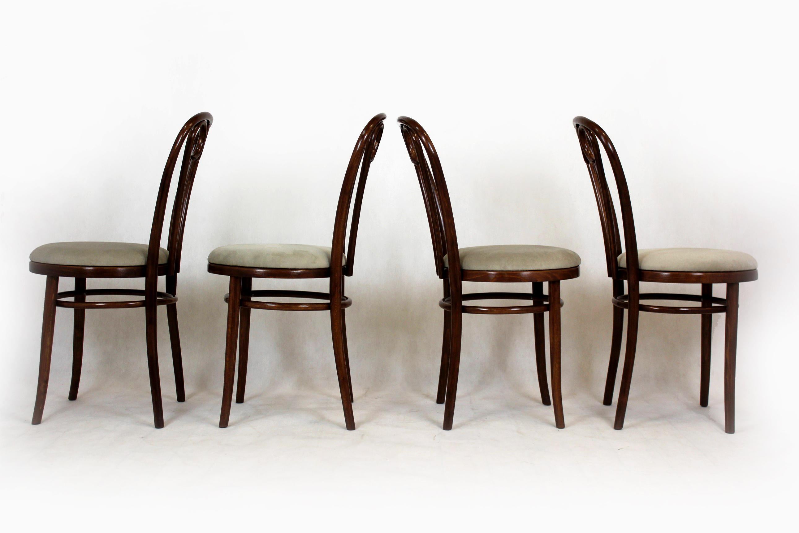 Restored Bentwood Chairs, 1950s, Set of 4 For Sale 5