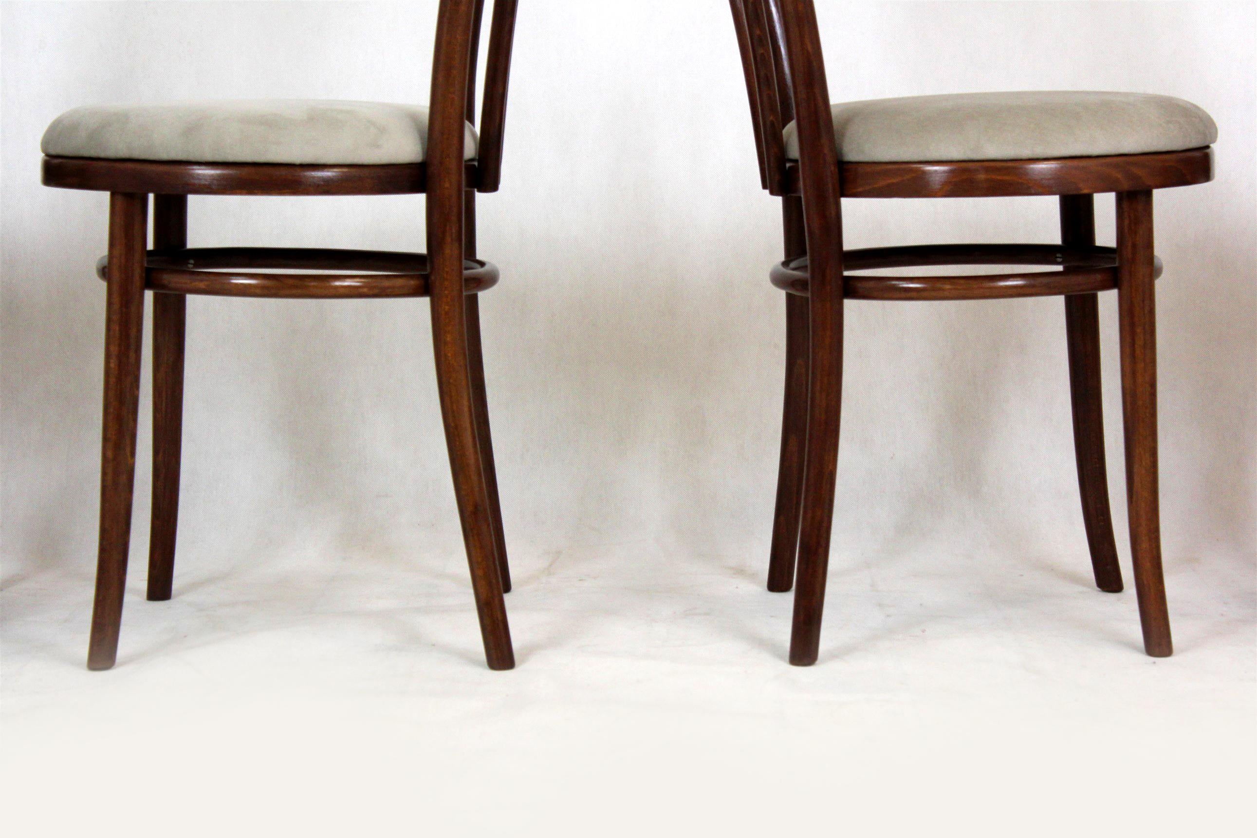 Restored Bentwood Chairs, 1950s, Set of 4 For Sale 6