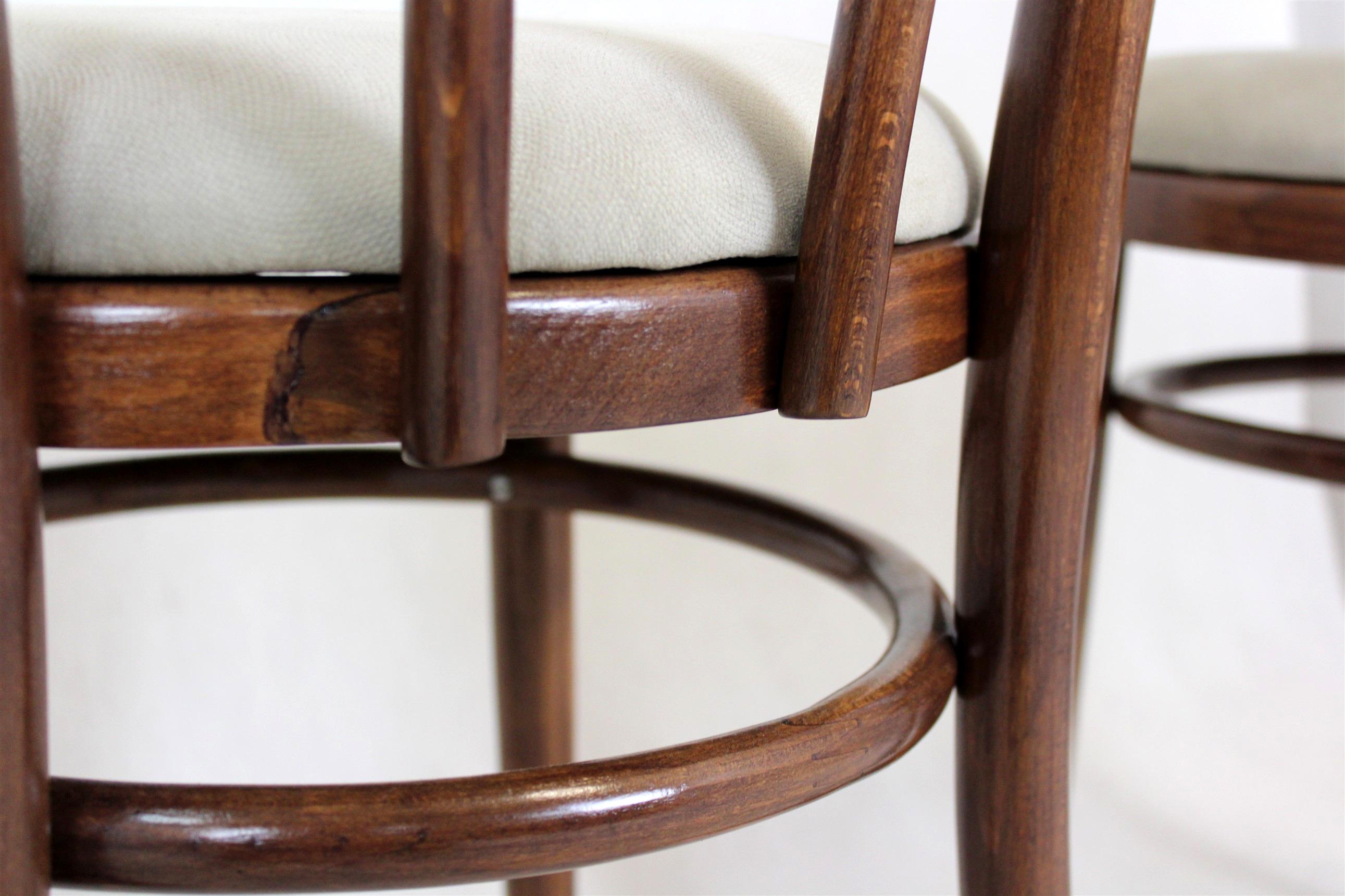 Restored Bentwood Chairs, 1950s, Set of 4 For Sale 8