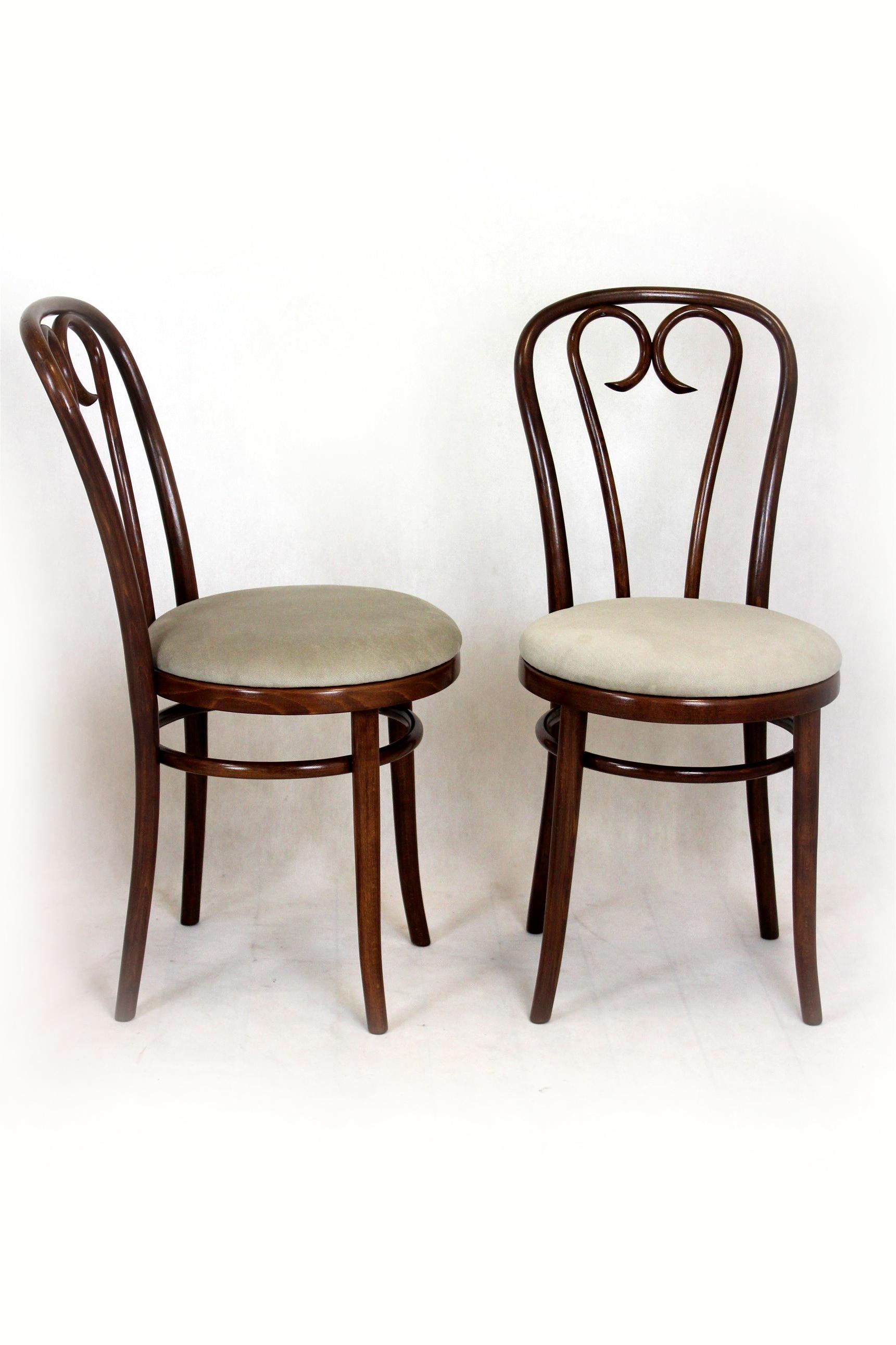 Chaises en bois cintré restaurées, années 1950, lot de 4 en vente 1