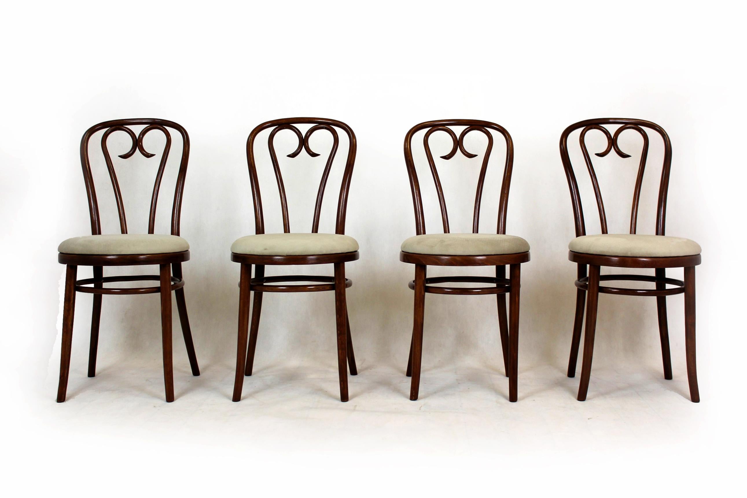 Chaises en bois cintré restaurées, années 1950, lot de 4 en vente 3