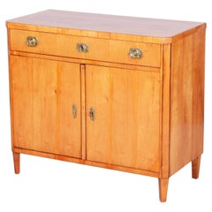 Antique Restored Biedermeier Cabinet, Cherry, Spruce, Ebony, Polish, Czech, 1820s