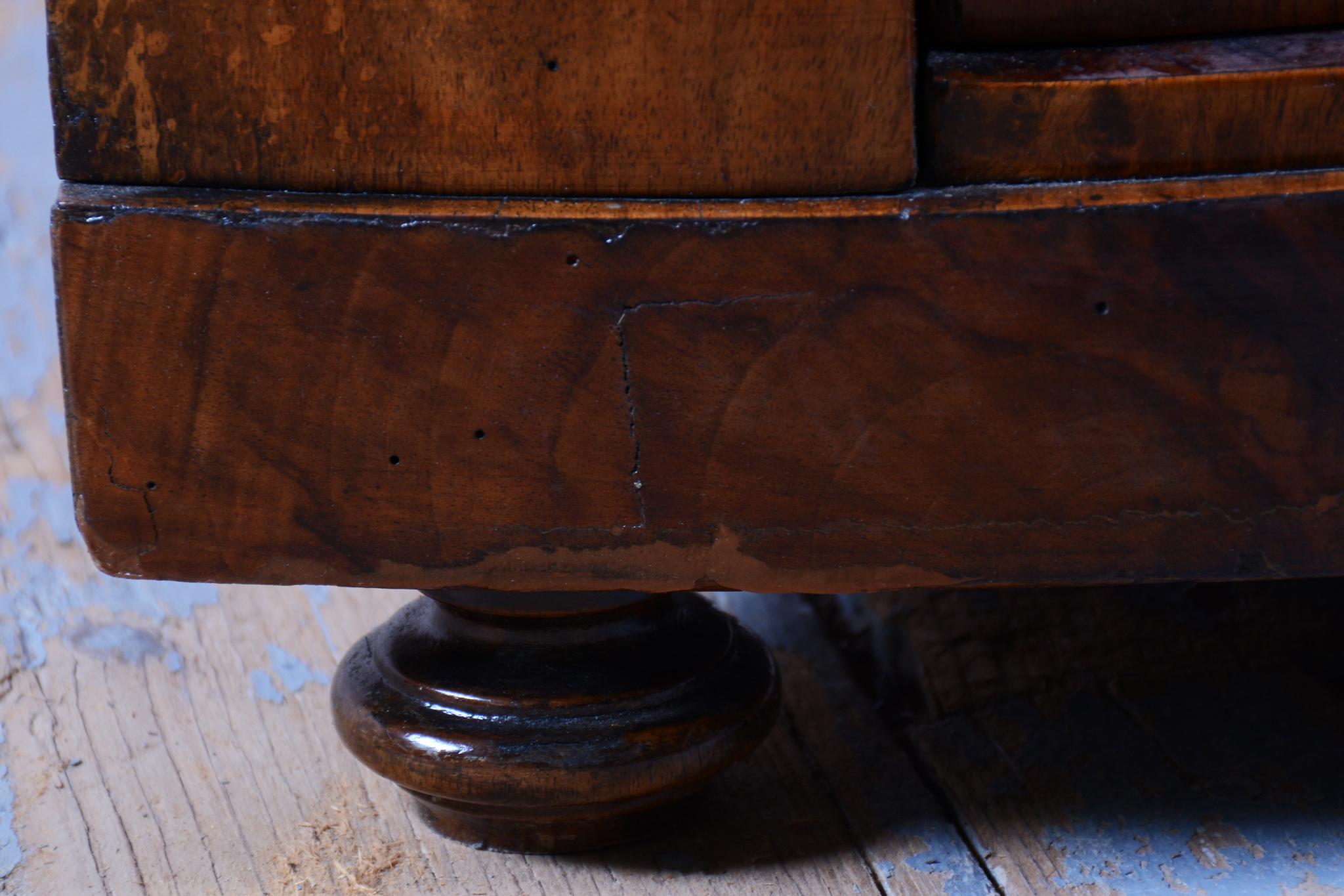 Restored Biedermeier Corner Cabinet, Walnut, Polished, Austria, 1830s For Sale 1