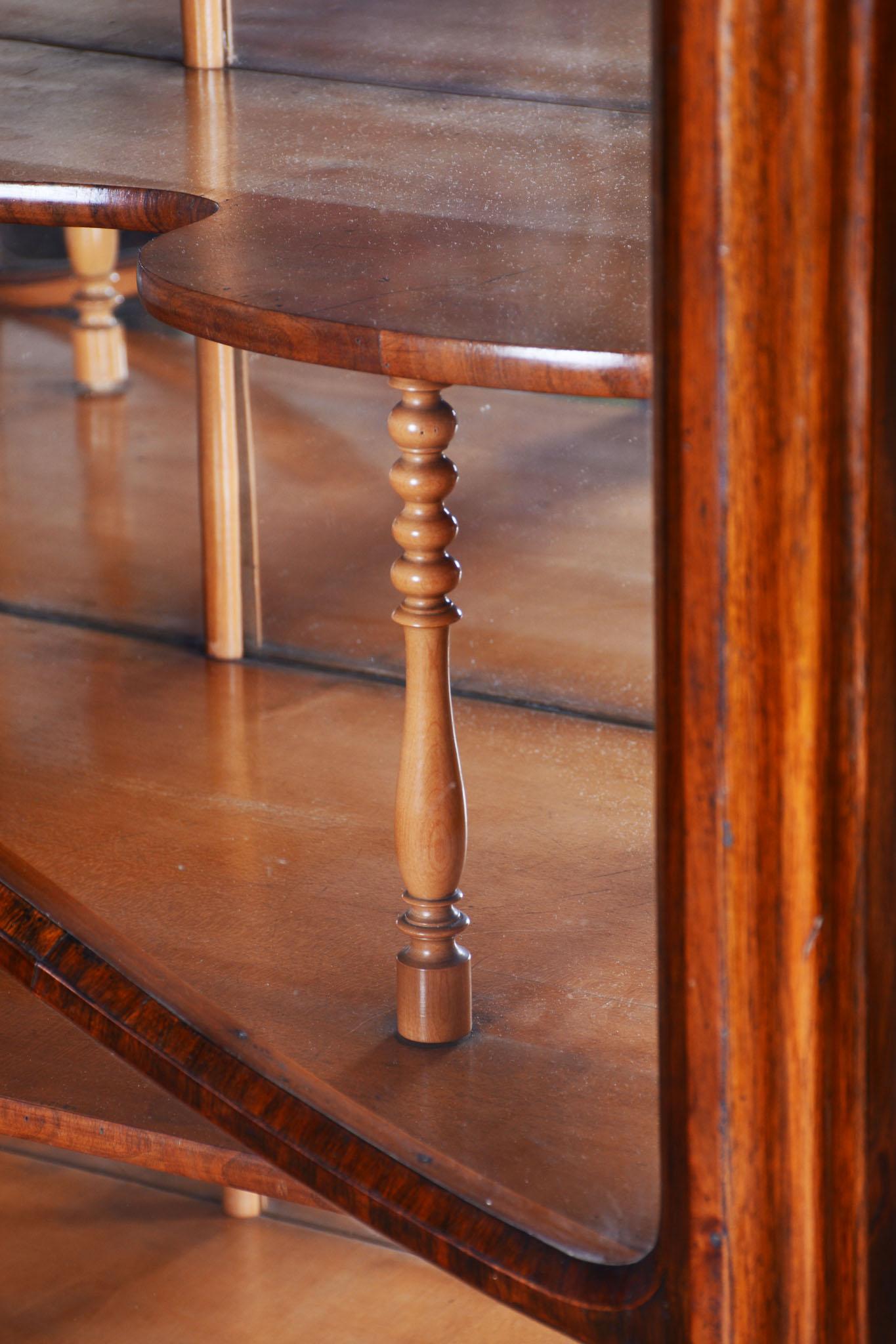 Restored Biedermeier Display Cabinet, Maple, Walnut, Polish, Czech, 1850s For Sale 7