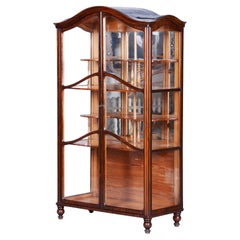 Restored Biedermeier Display Cabinet, Maple, Walnut, Polish, Czech, 1850s