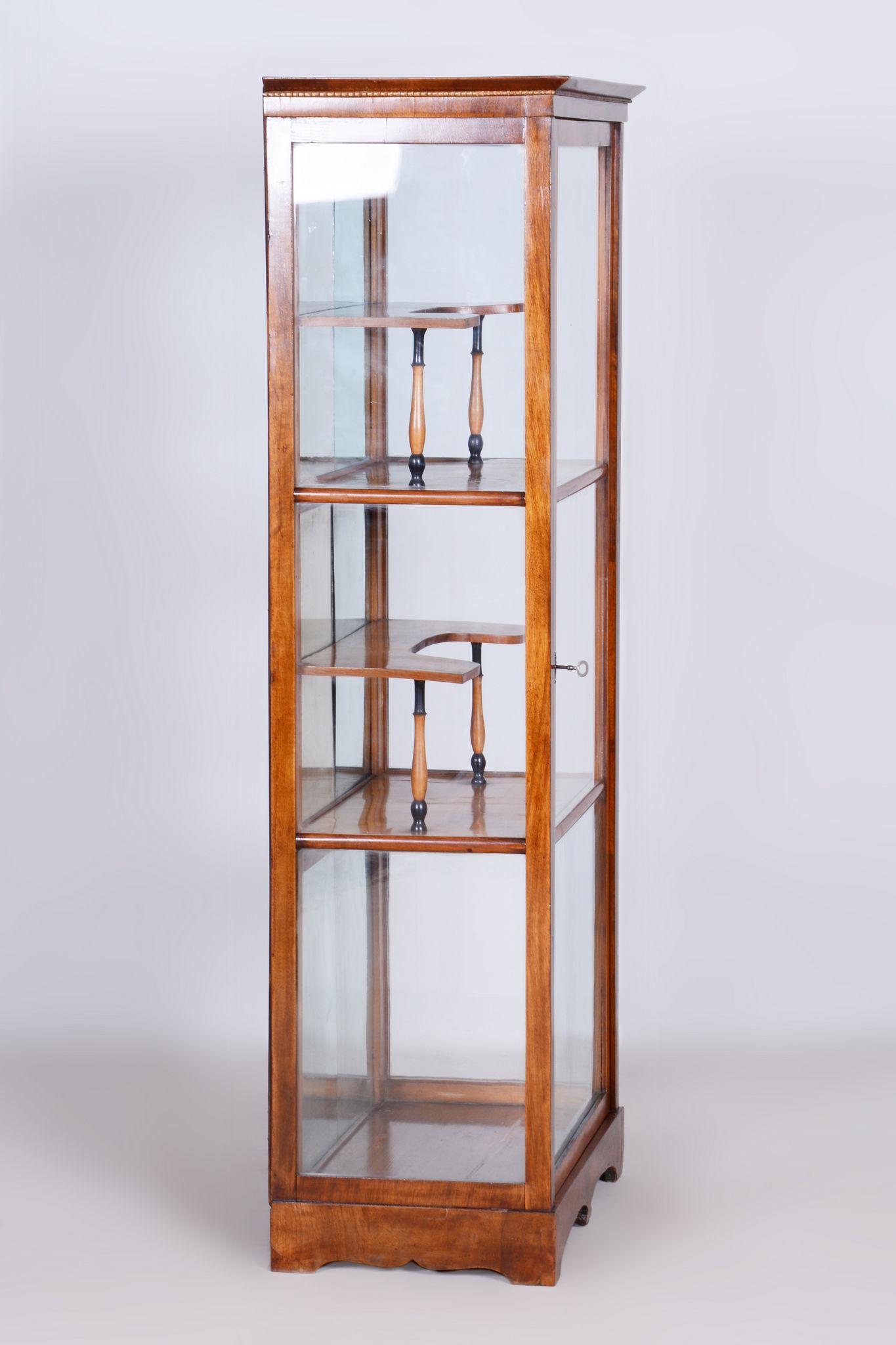 Restored Biedermeier Display Cabinet, Walnut, Polish, Spruce, Czech, 1830s For Sale 7