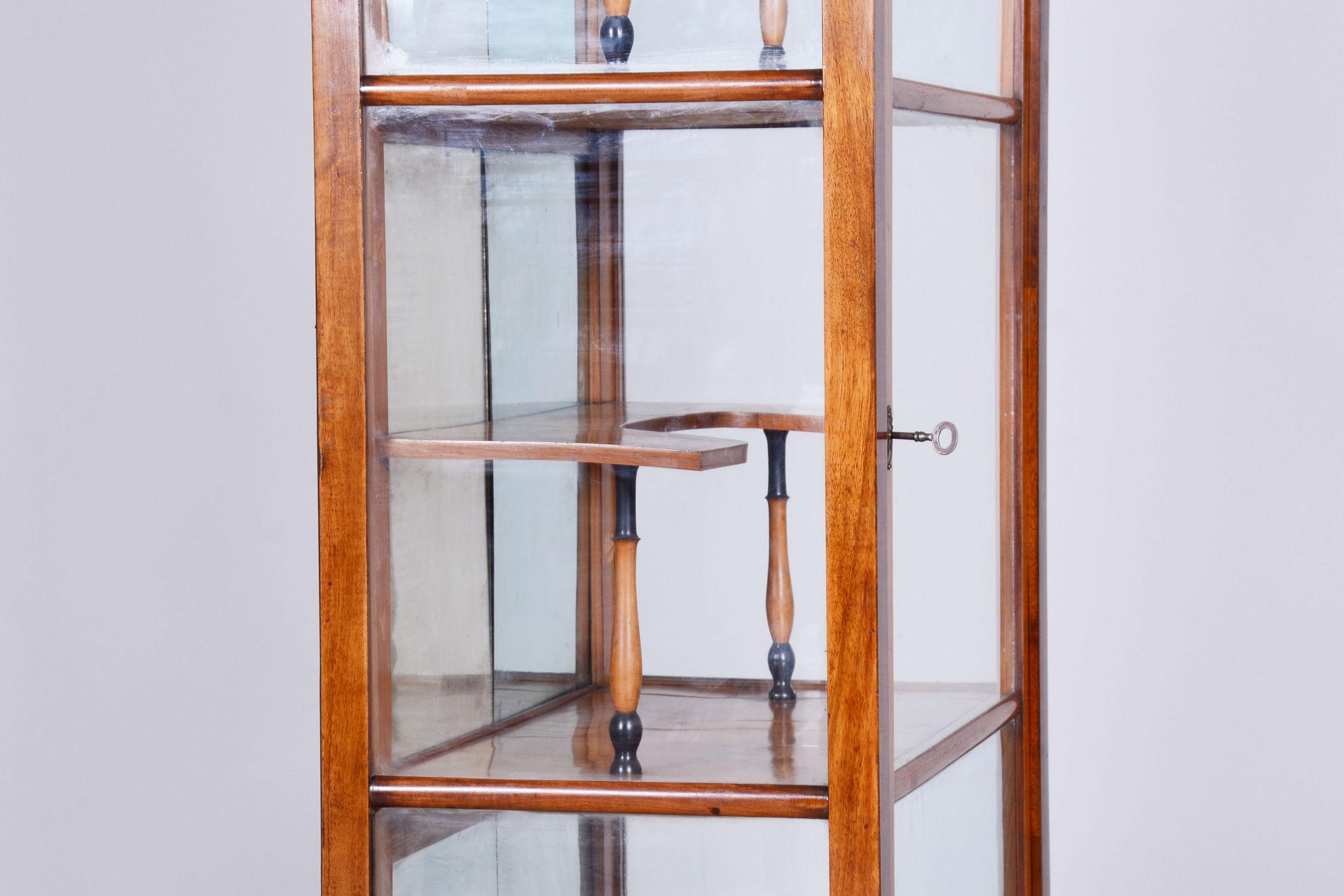 Restored Biedermeier Display Cabinet, Walnut, Polish, Spruce, Czech, 1830s For Sale 8