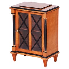 Restored Biedermeier Small Display Cabinet, Cherry Wood, Polish, Czech, 1850s