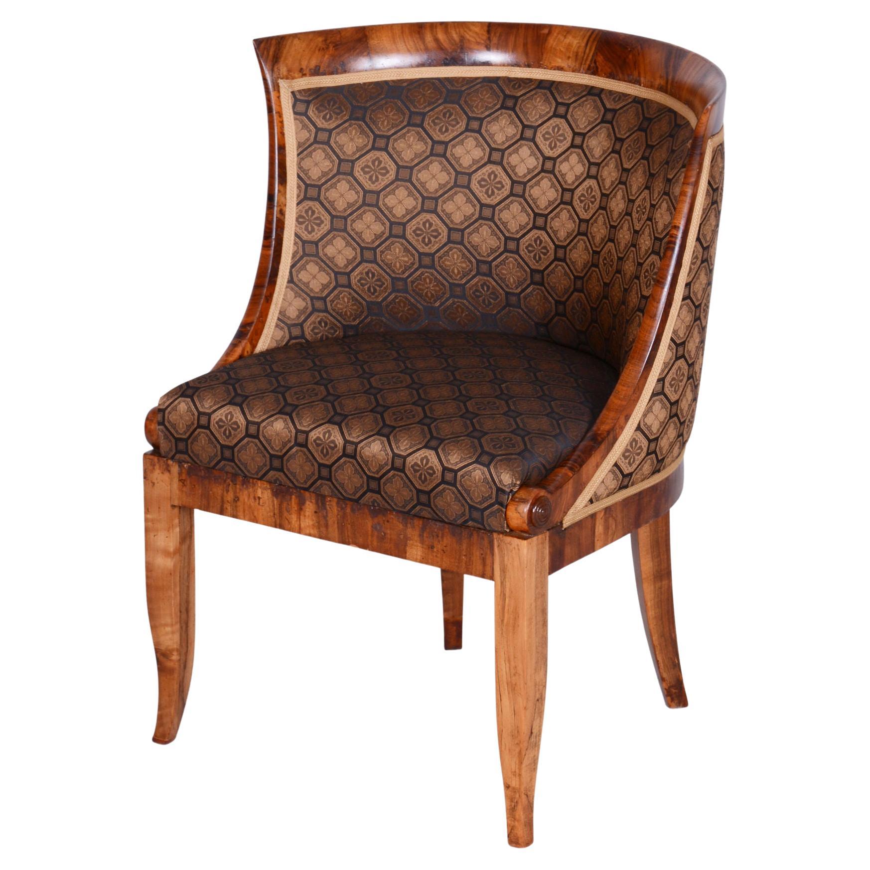 Restored Biedermeier Walnut Armchair, Vienna, Austria, 1820s