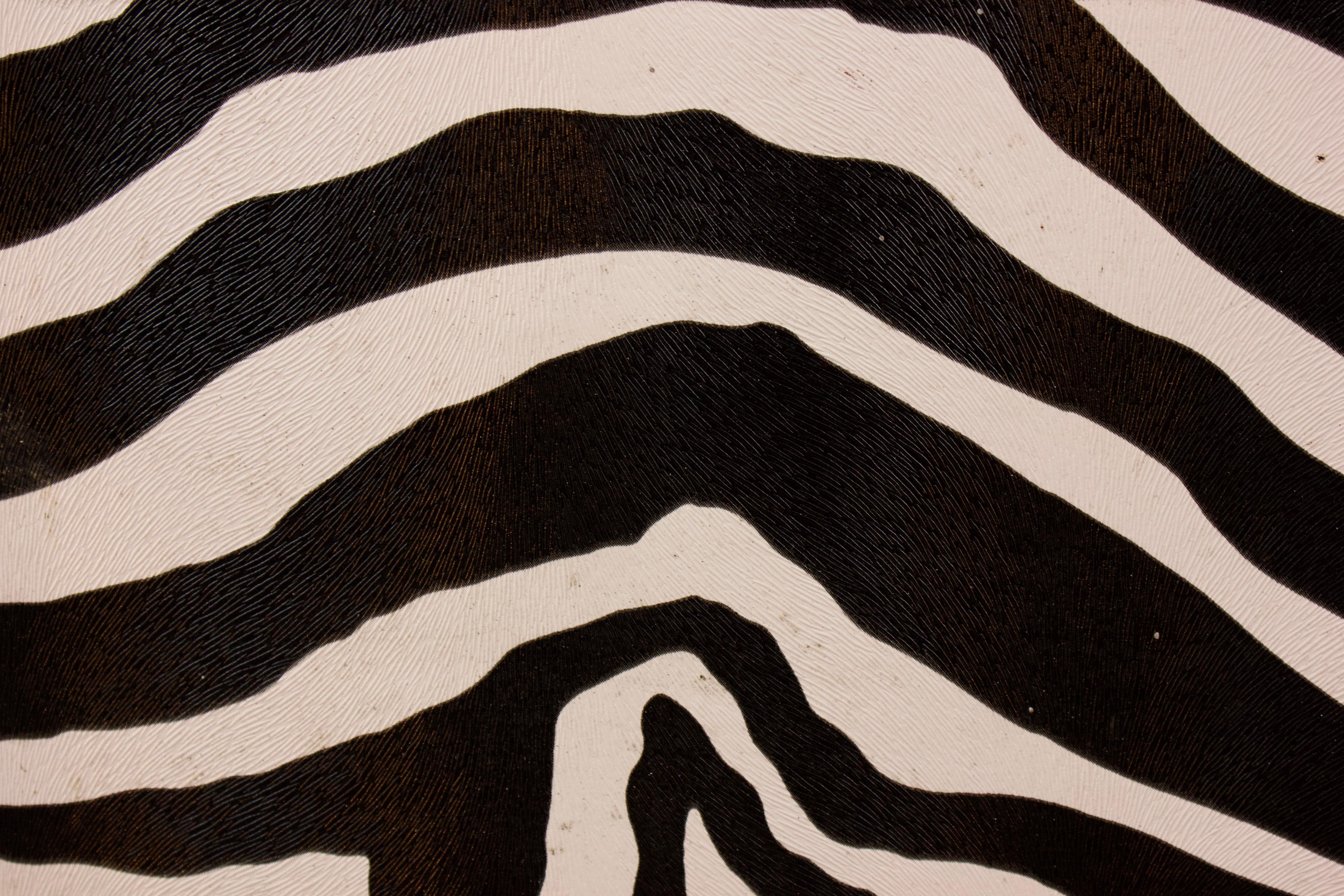 Restaurierte Kommode mit Zebra-Wandteppich  20. Jahrhundert  (Holz) im Angebot
