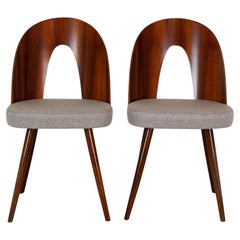 Restored Dining Chairs by Antonin Suman, 1960s, Set of 2