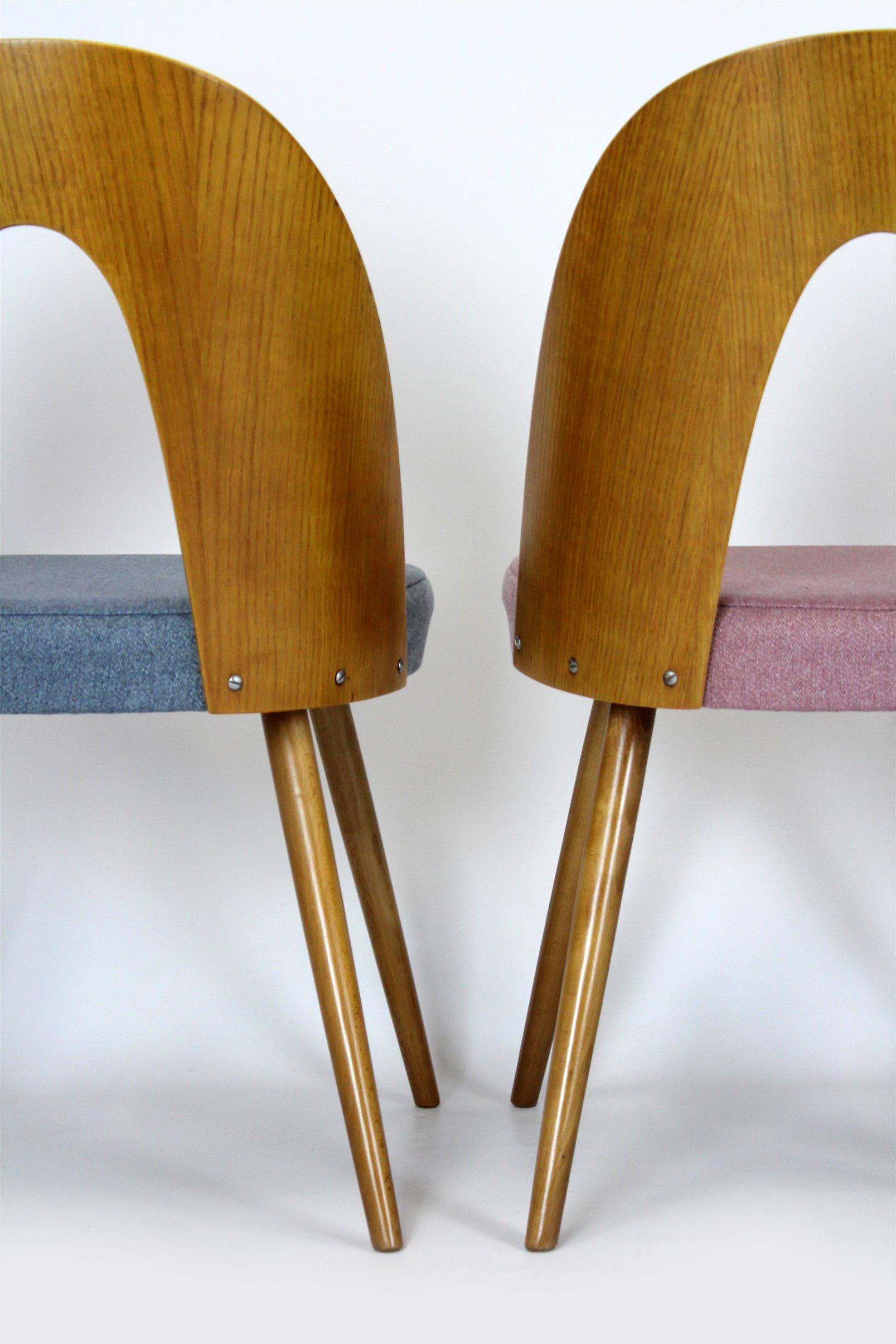 Restored Dining Chairs by Antonin Suman, 1960s, Set of 4 7