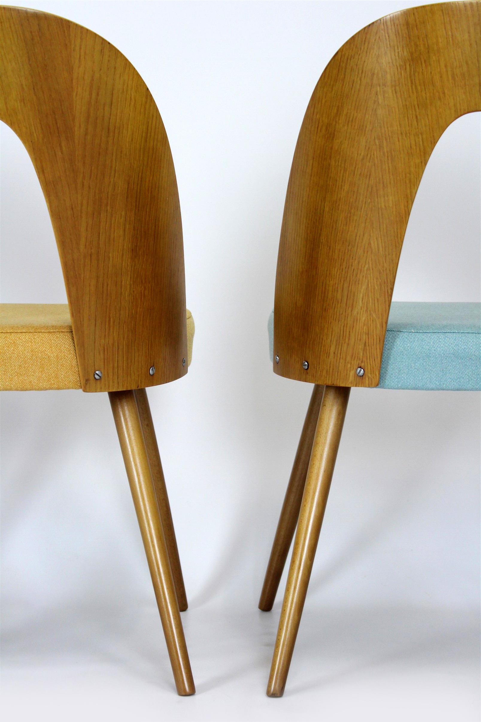 Restored Dining Chairs by Antonin Suman, 1960s, Set of 4 8