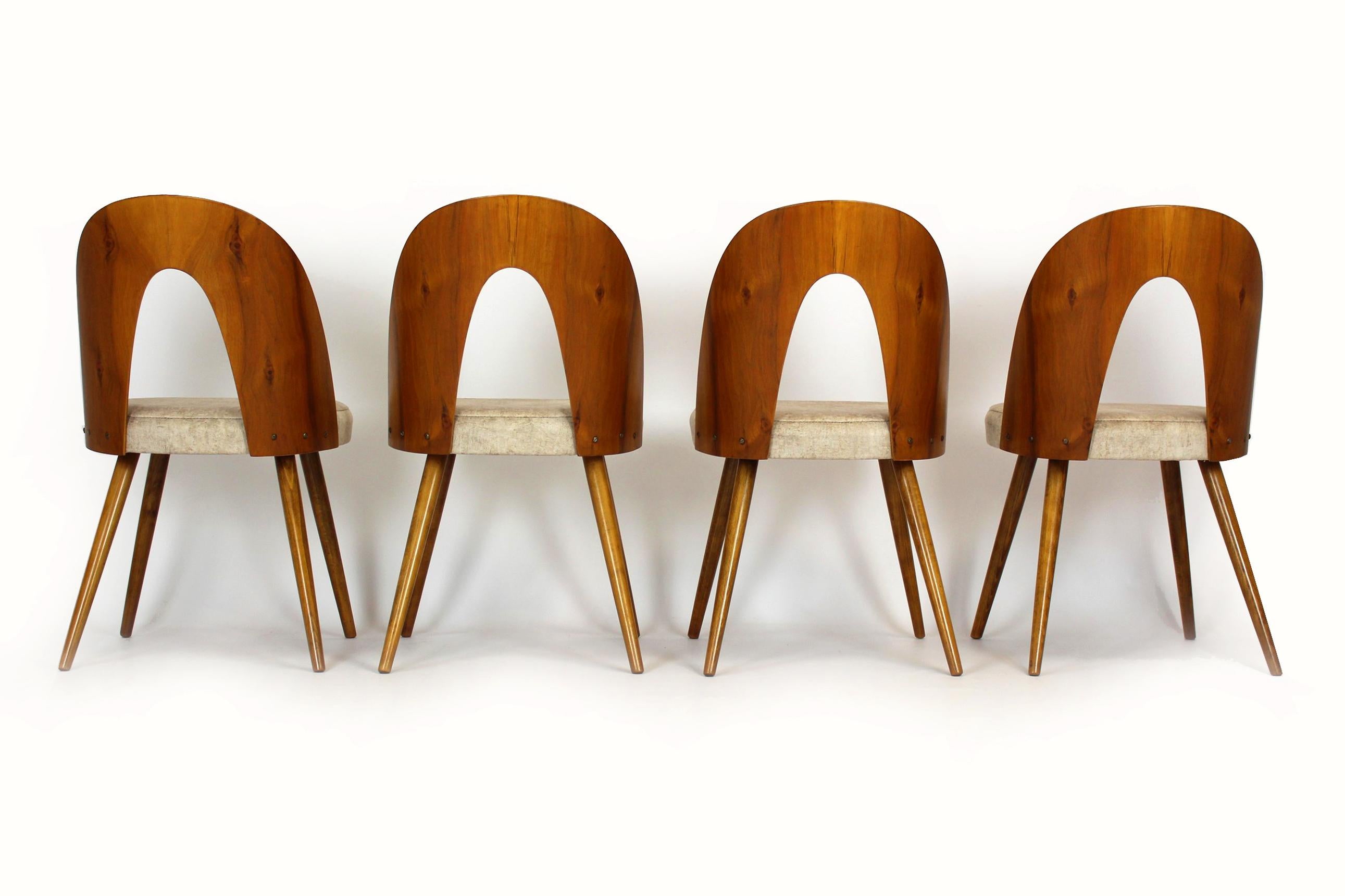 Restored Dining Chairs by Antonin Suman, 1960s, Set of 4 9