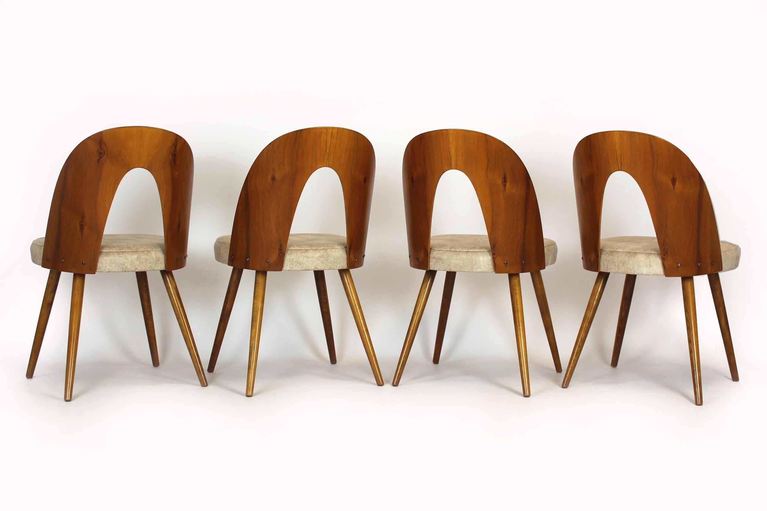 Restored Dining Chairs by Antonin Suman, 1960s, Set of 4 11
