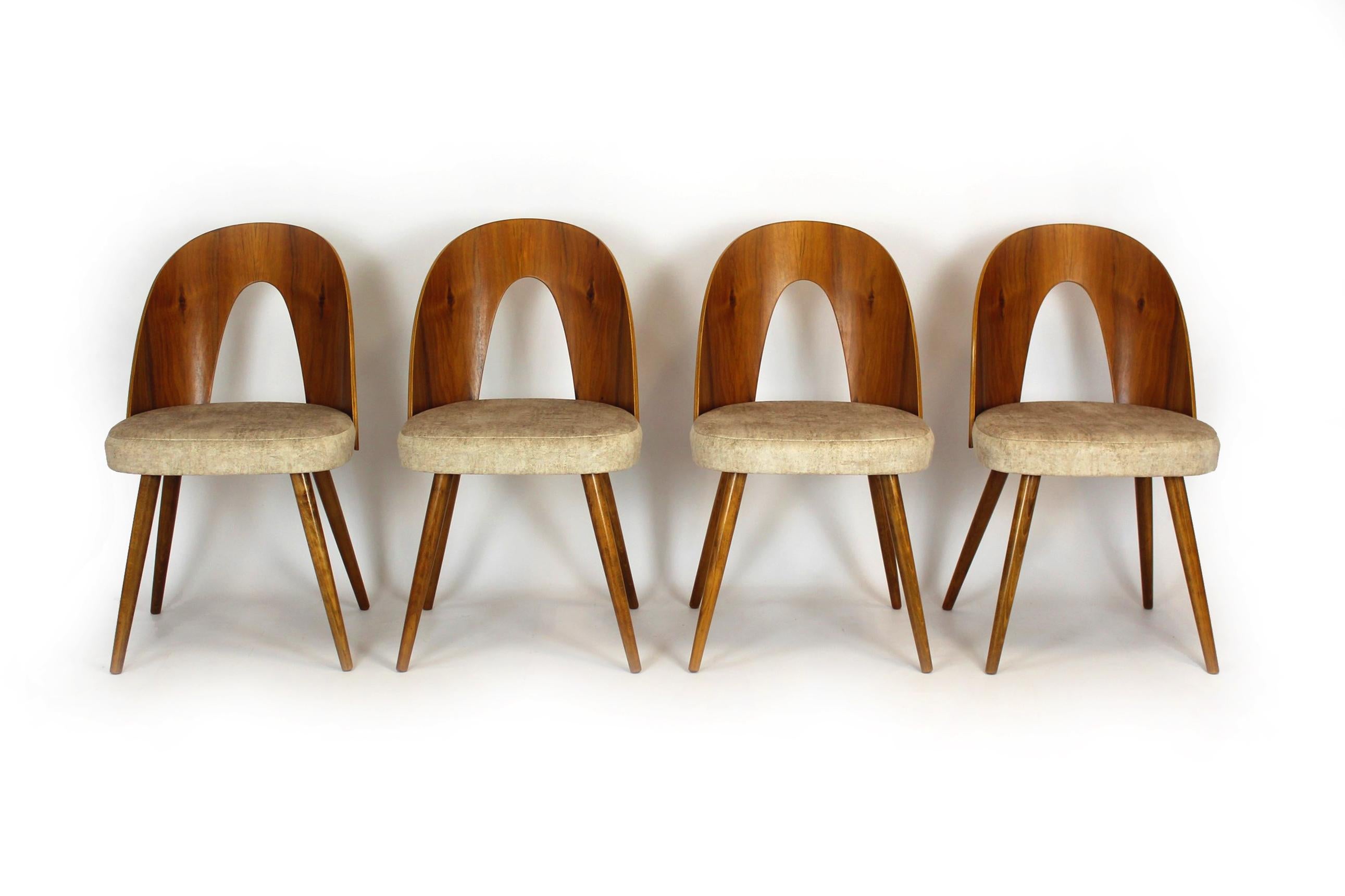 A set of four chairs, designed in the 1960s by Antonin Suman. The chairs are made of beech wood, the backrests are bent plywood with walnut veneer.
The chairs have been restored - have new seat foam upholstered with a fabric with increased