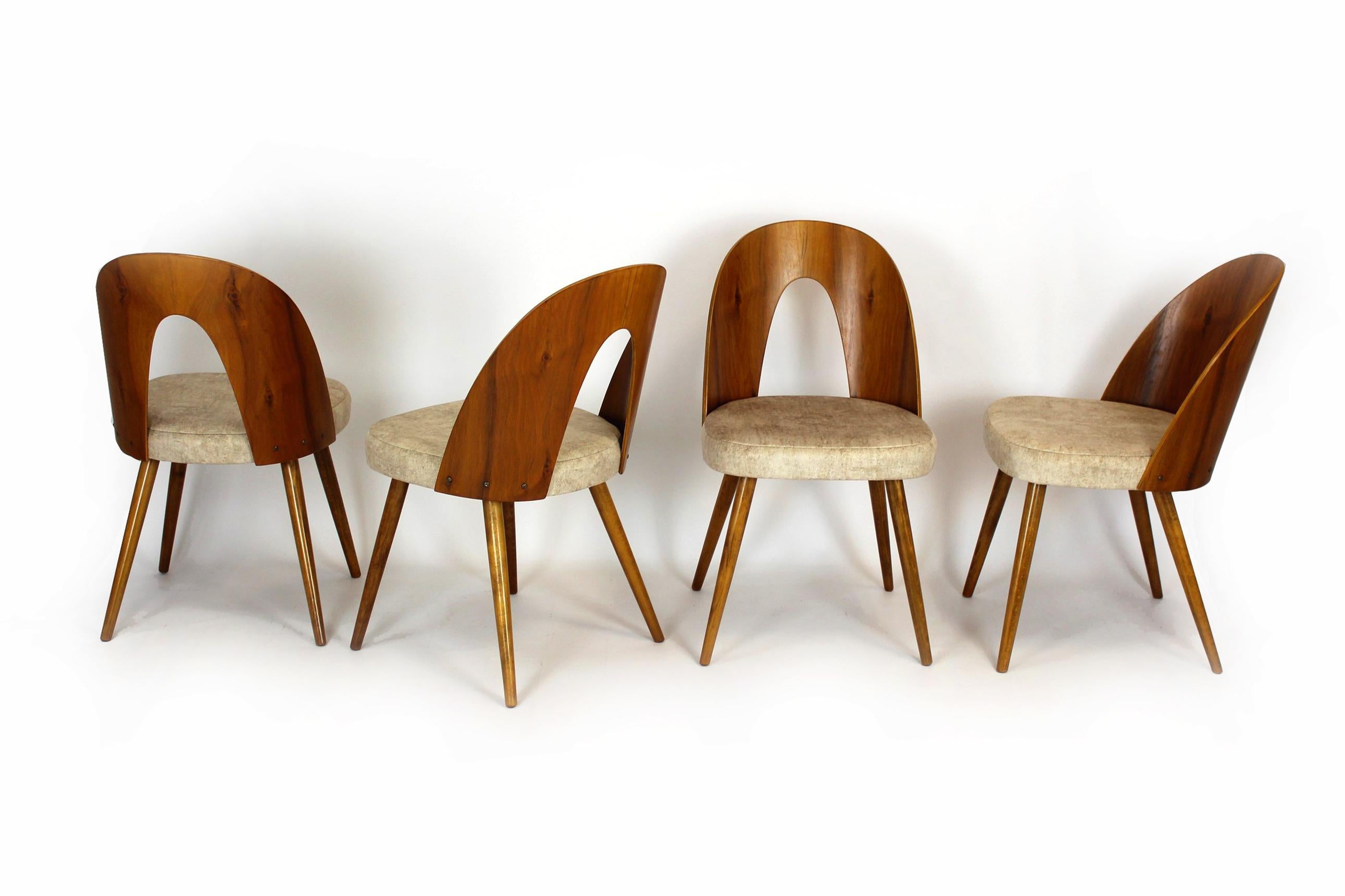 Restored Dining Chairs by Antonin Suman, 1960s, Set of 4 In Excellent Condition In Żory, PL