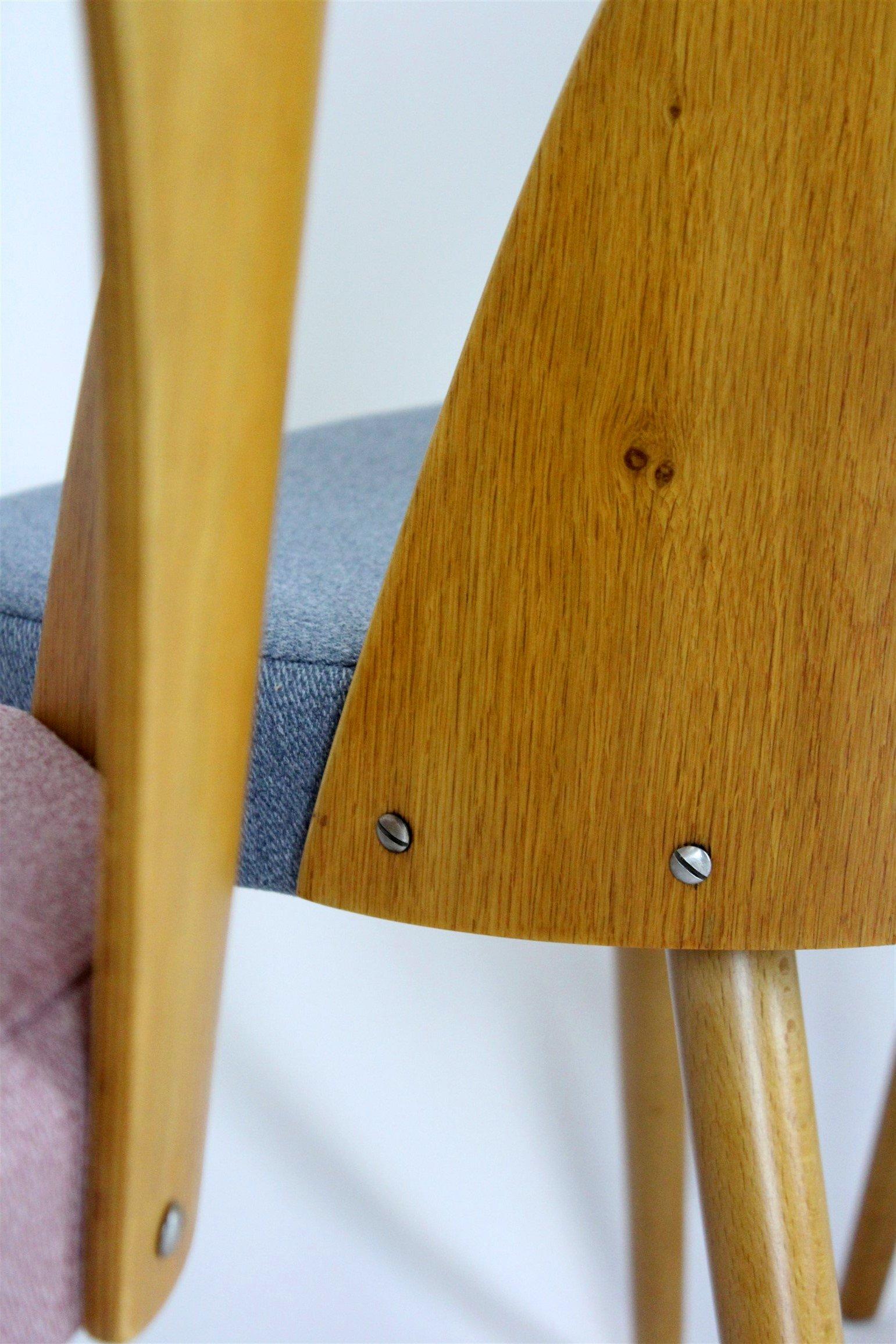20th Century Restored Dining Chairs by Antonin Suman, 1960s, Set of 4 For Sale
