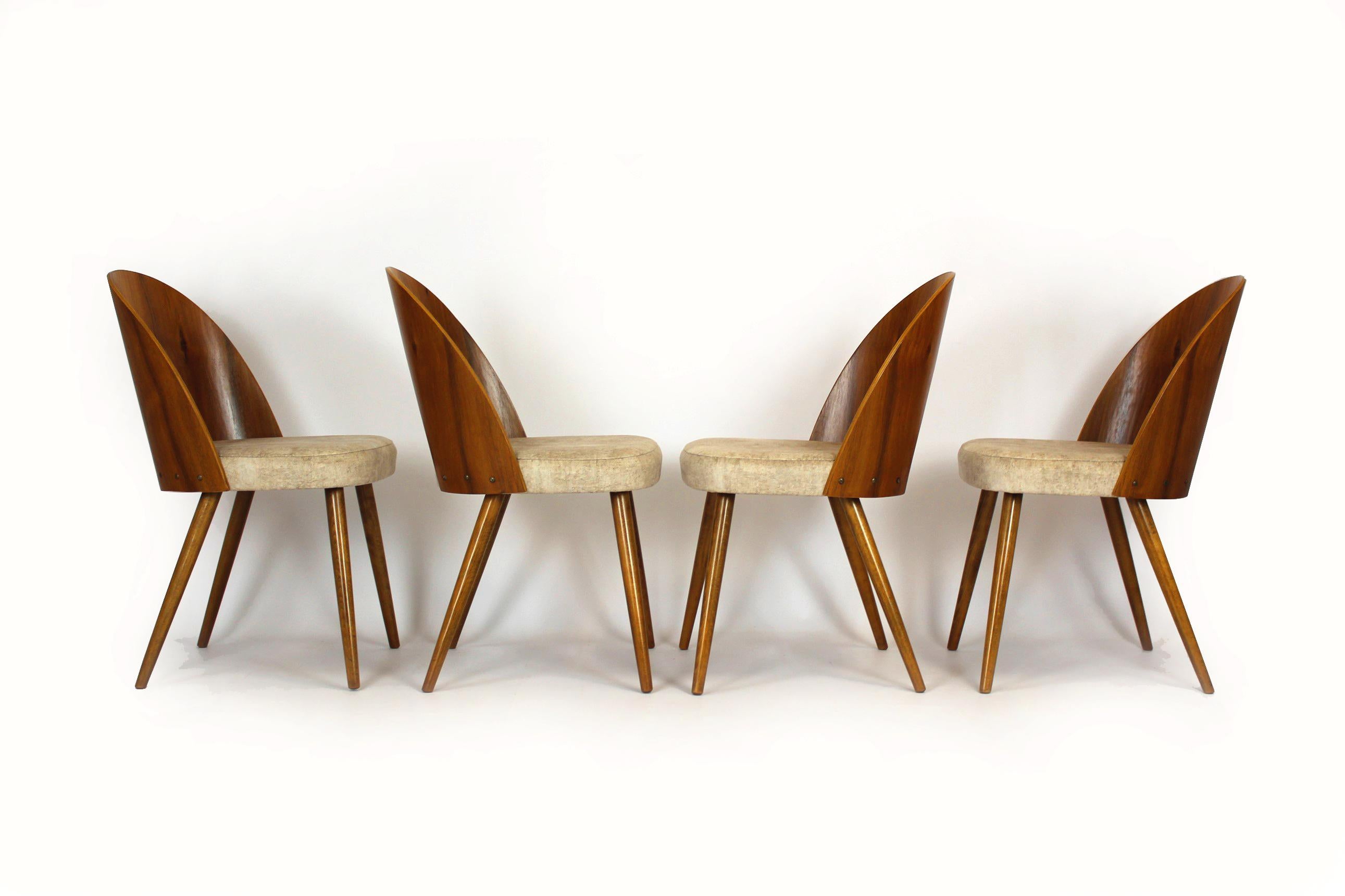 Restored Dining Chairs by Antonin Suman, 1960s, Set of 4 1