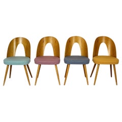 Restored Dining Chairs by Antonin Suman, 1960s, Set of 4