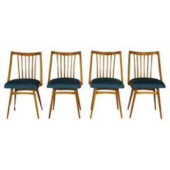 Vintage Restored Dining Chairs from Interier Praha, 1960s, Set of 4