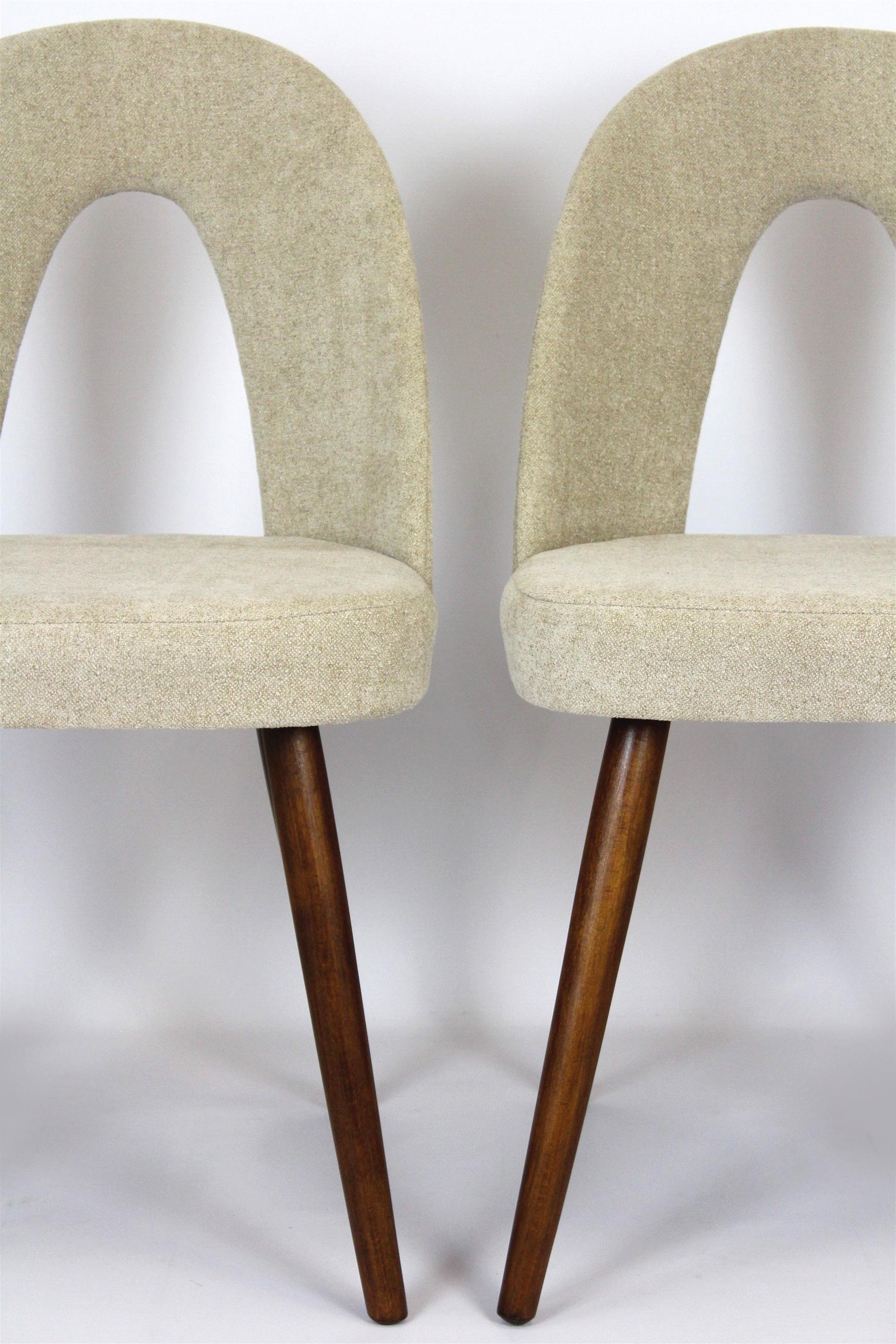 Mid-Century Modern Restored Dining Chairs in Bouclé Upholstery by Antonin Suman, 1960s, Set of 4