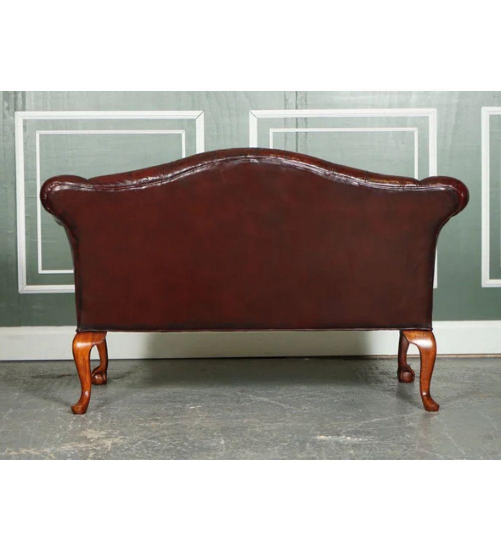 20th Century Restored Hump Camel Back Regency Chesterfield Buttoned Sofa in HandDyed Burgundy For Sale