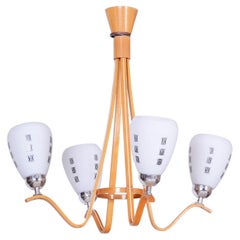 Lampadario di metà secolo restaurato, di Dřevo Humpolec, Beeche, vetro, ceco, anni '1960