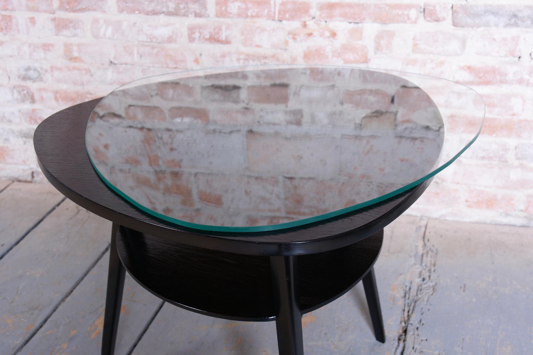 Restored Mid -Century Coffee Table, Beech, Oak, Glass, Polish, Czech, 1950s For Sale 4