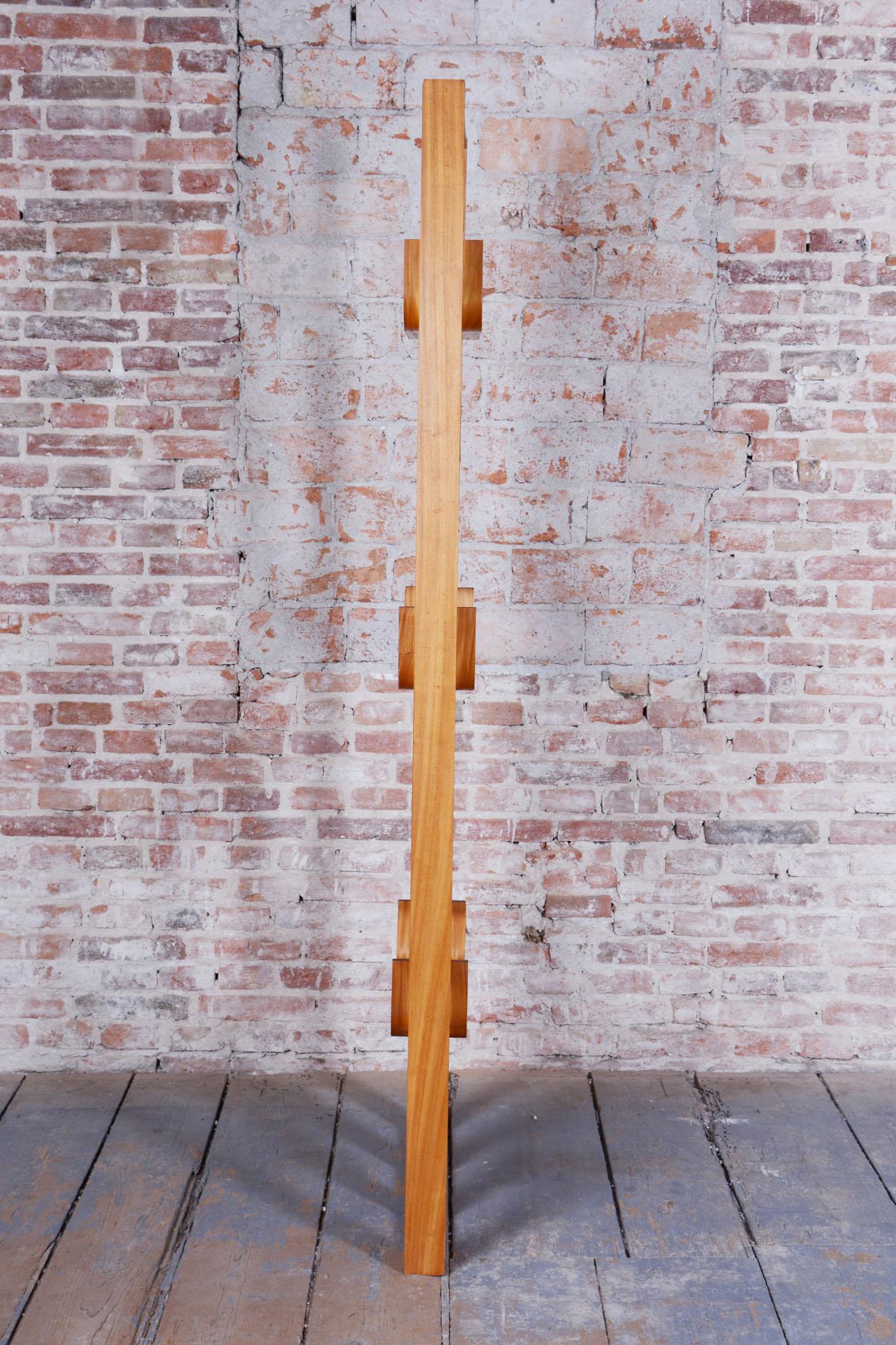 Restored Mid-Century Divider, by Ludvik Volak, Revived Polish, Czech, 1960s For Sale 4