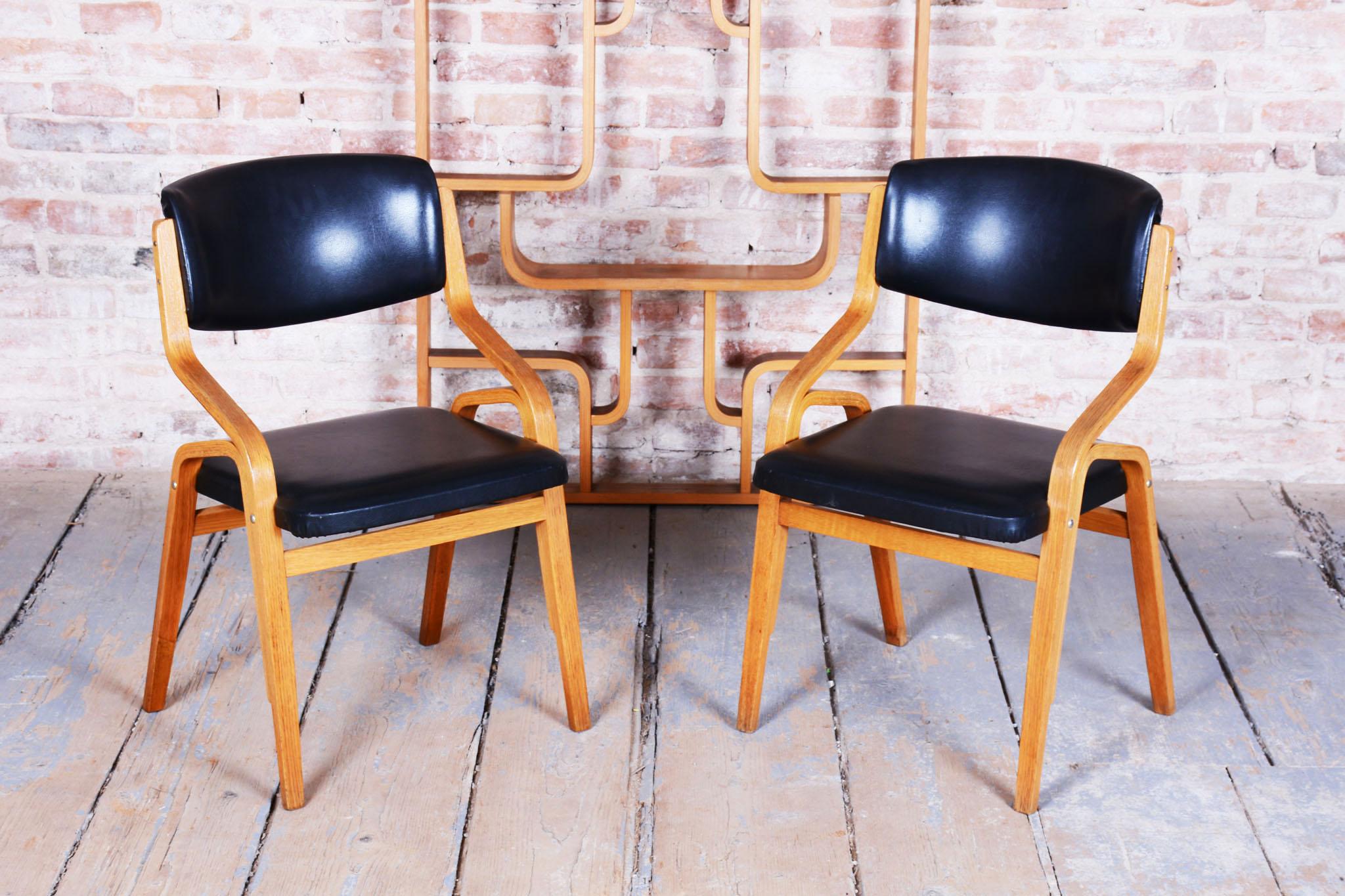 Restored Mid-Century Divider, by Ludvik Volak, Revived Polish, Czech, 1960s For Sale 5