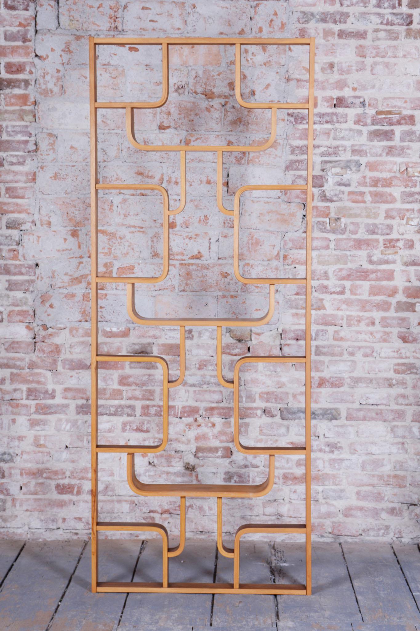 Mid-Century Modern Restored Mid-Century Divider, by Ludvik Volak, Revived Polish, Czech, 1960s For Sale