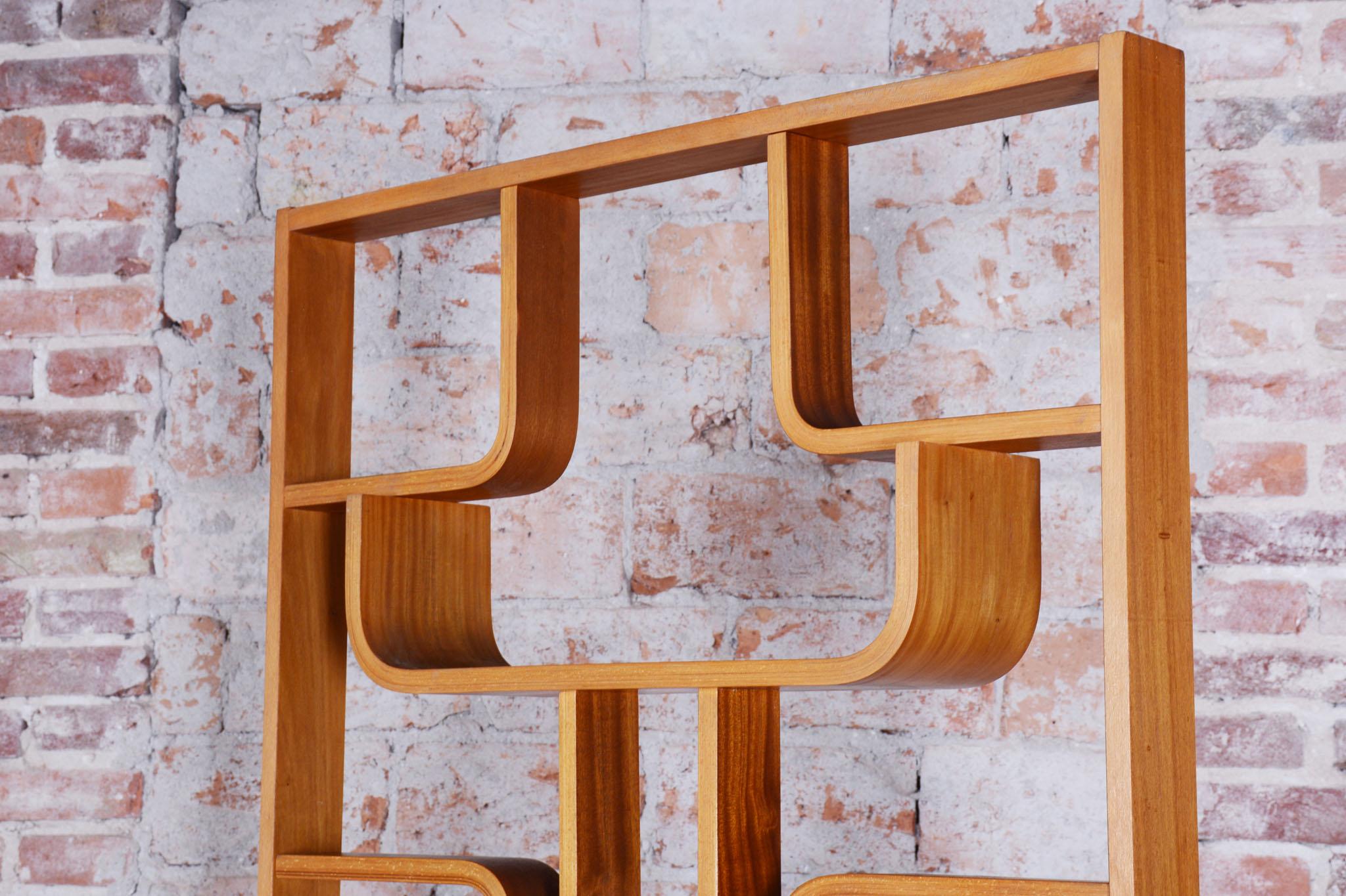 Restored Mid-Century Divider, by Ludvik Volak, Revived Polish, Czech, 1960s For Sale 1