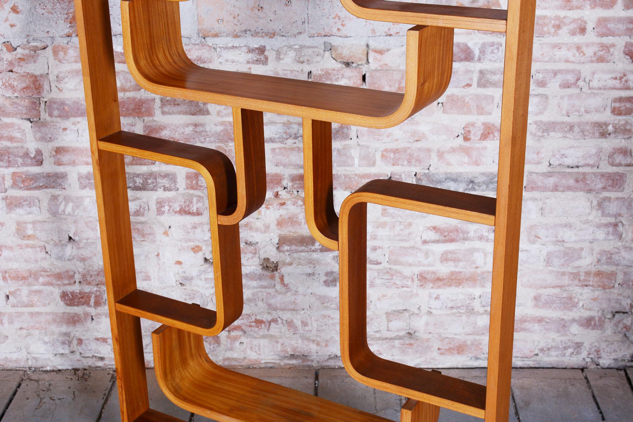 Restored Mid-Century Divider, by Ludvik Volak, Revived Polish, Czech, 1960s For Sale 3
