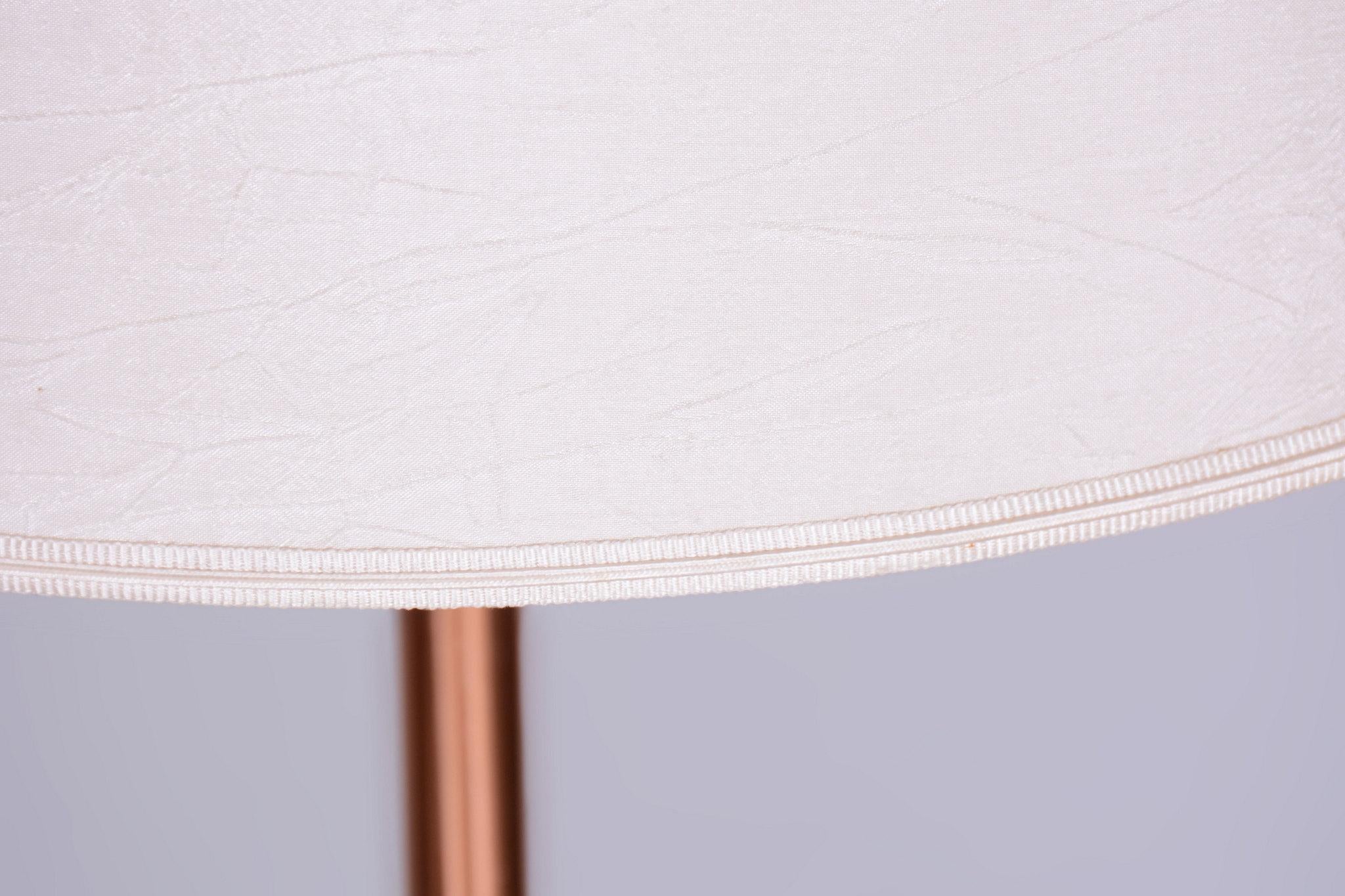 Restored Mid-Century Floor Lamp, Steel, Copper, Czech, 1960s For Sale 2