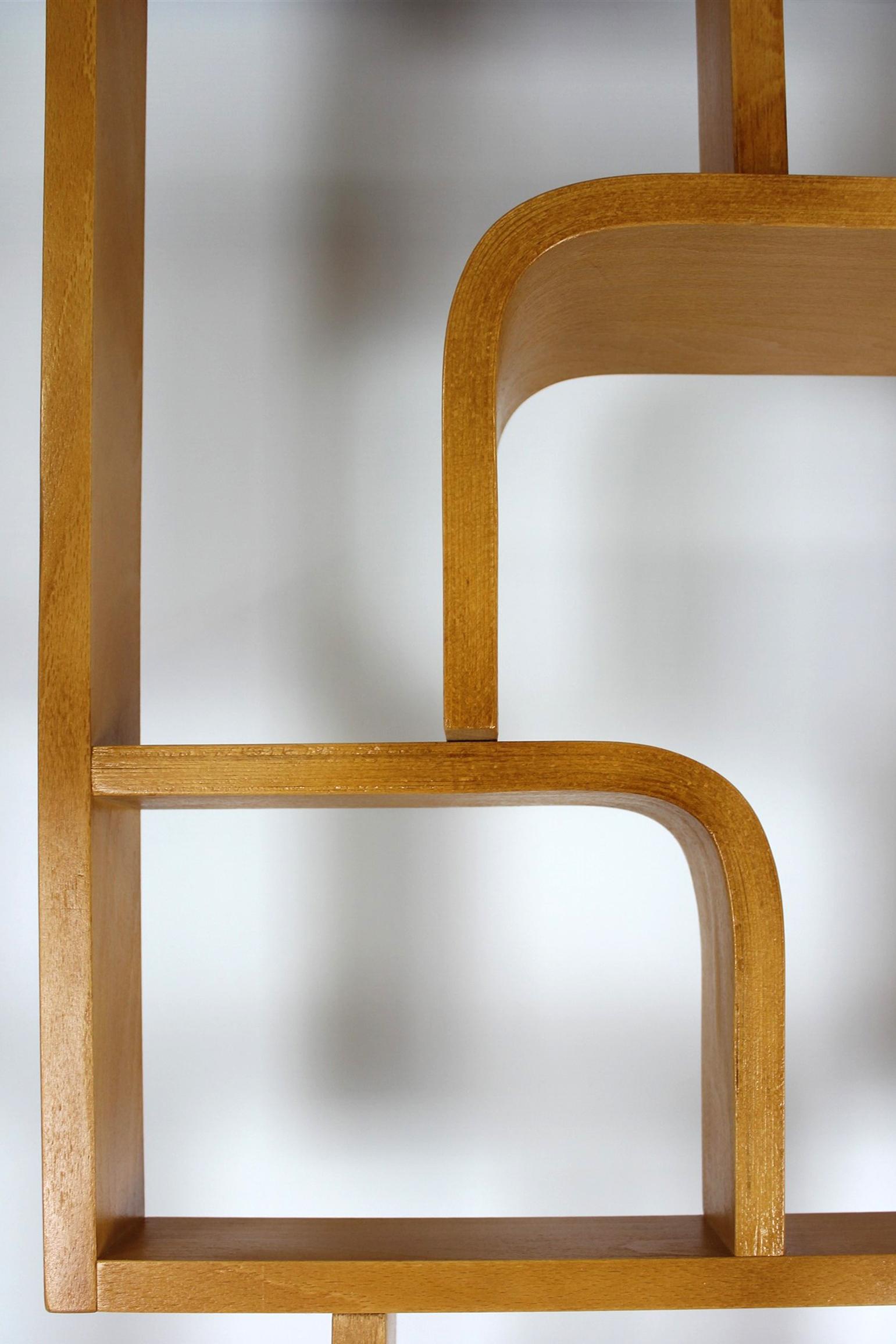 Restored Mid-Century Room Divider by L. Volak for Drevopodnik Holesov, 1960s For Sale 4
