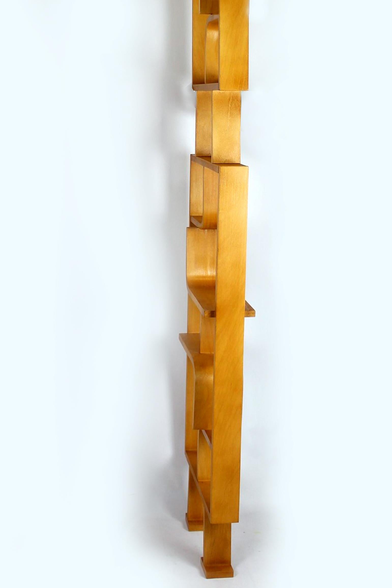 Restored Mid-Century Room Divider by L. Volak for Drevopodnik Holesov, 1960s For Sale 8