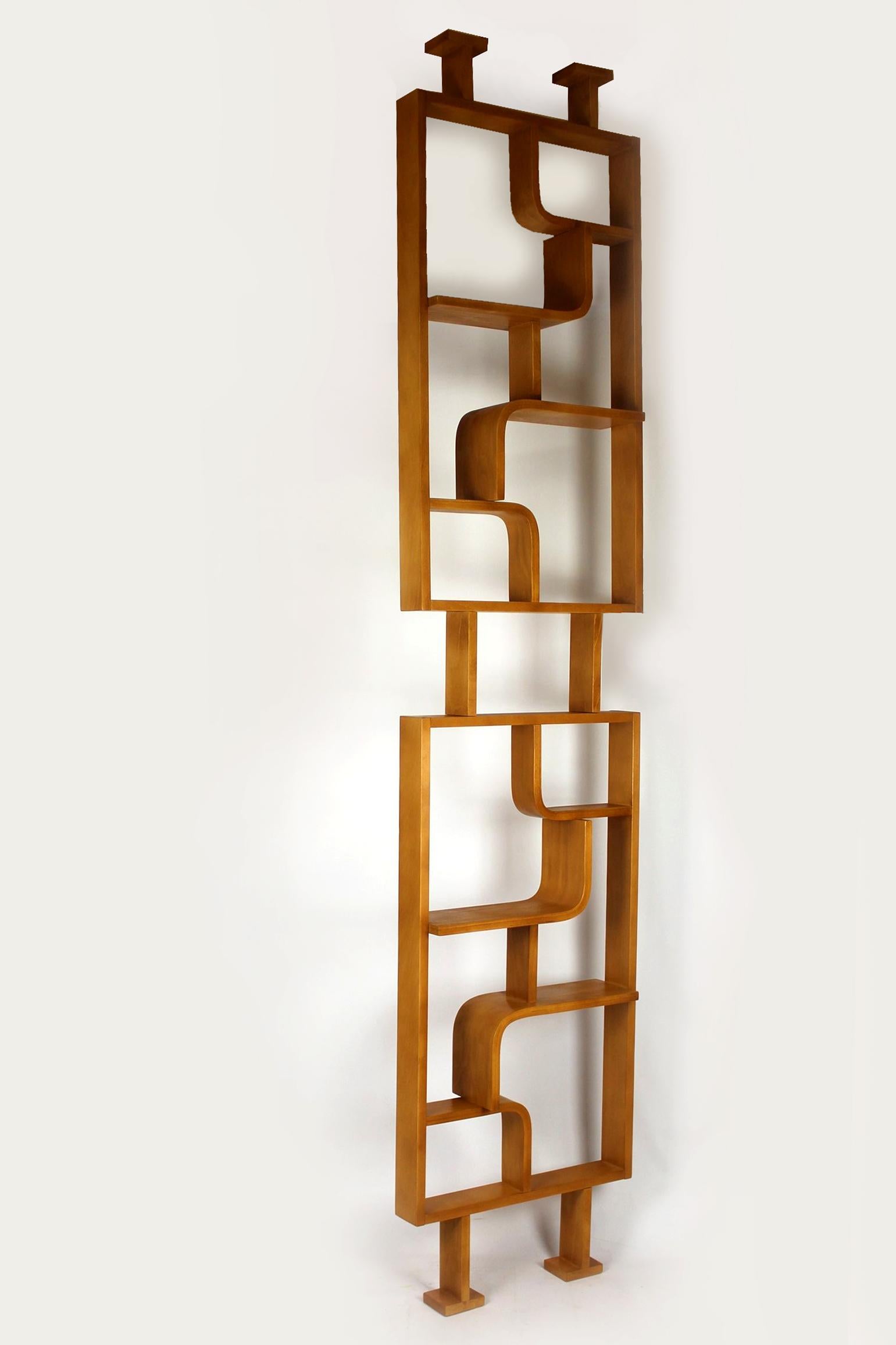 Mid-Century Modern Restored Mid-Century Room Divider by L. Volak for Drevopodnik Holesov, 1960s For Sale