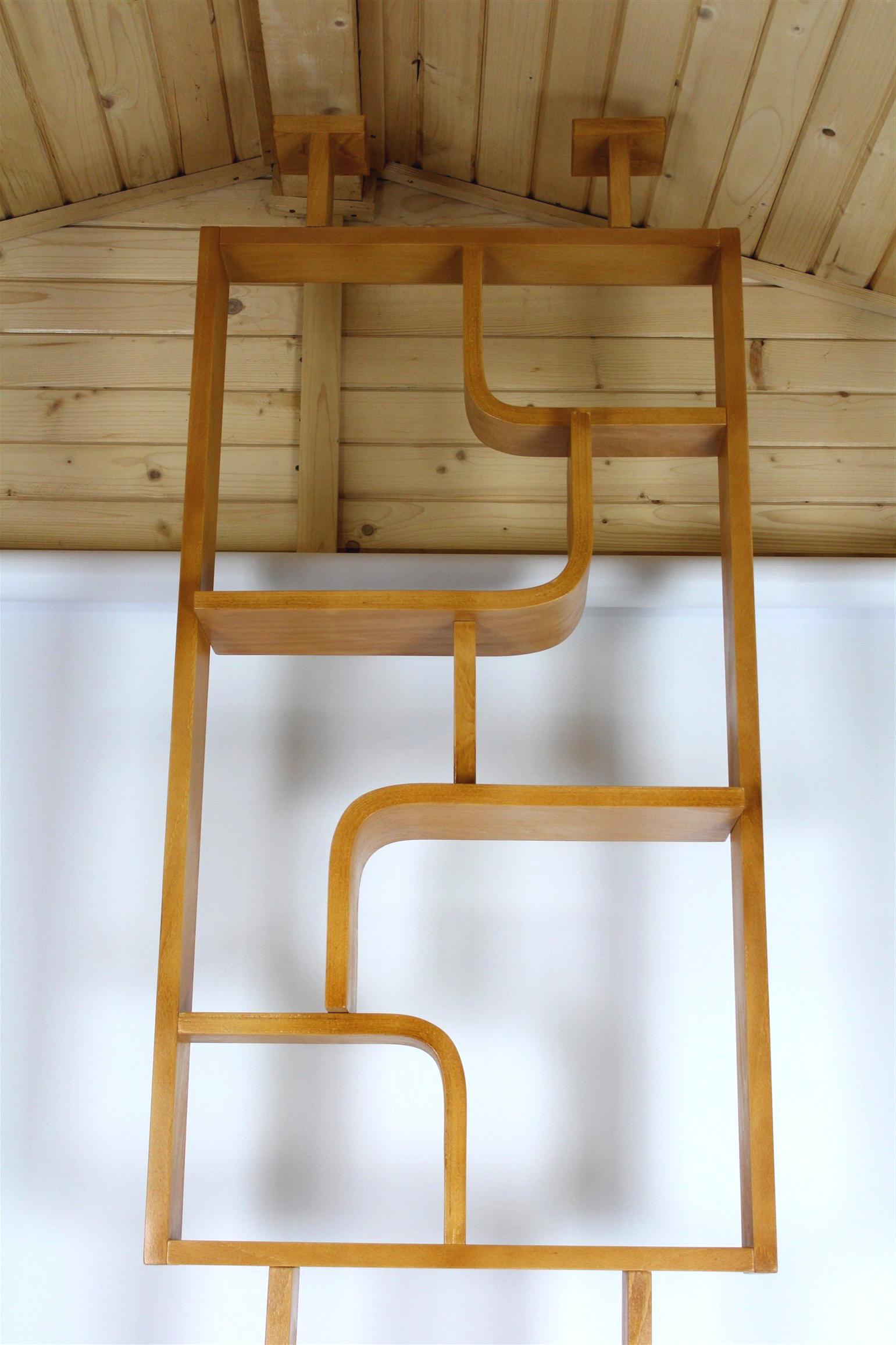 Restored Mid-Century Room Divider by L. Volak for Drevopodnik Holesov, 1960s For Sale 1