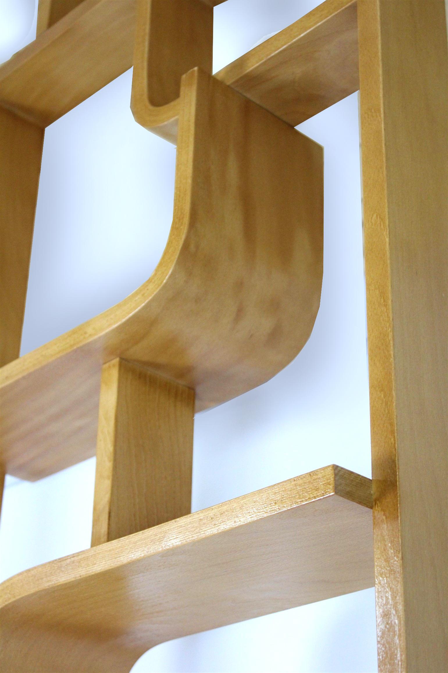 Restored Mid-Century Room Divider by L. Volak for Drevopodnik Holesov, 1960s For Sale 2