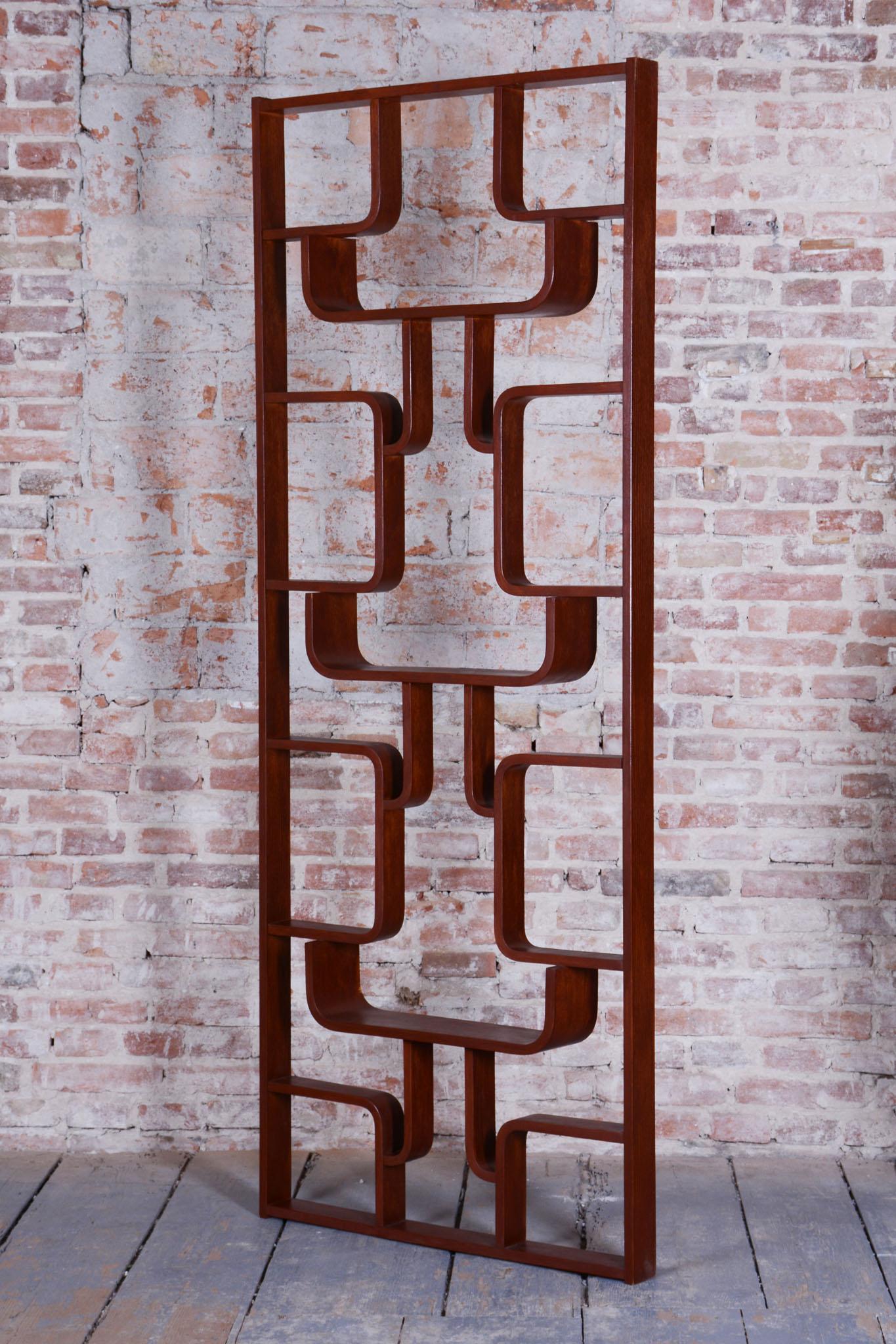 Restored MidCentury Divider, by Ludvik Volak, Revived Polish, Czech, 1960s In Good Condition For Sale In Brandys nad Labem, Středočeský kraj