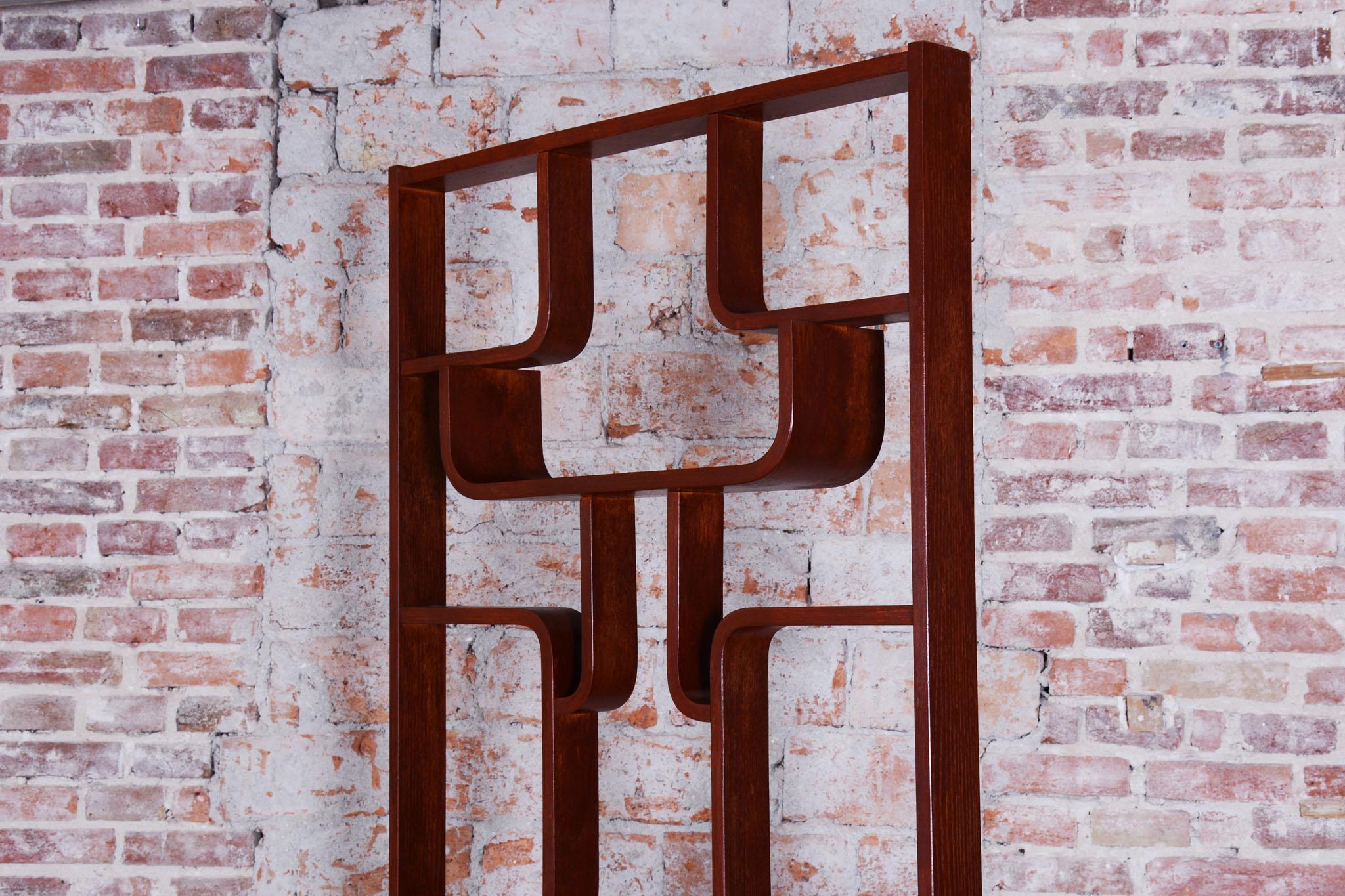 Wood Restored MidCentury Divider, by Ludvik Volak, Revived Polish, Czech, 1960s For Sale