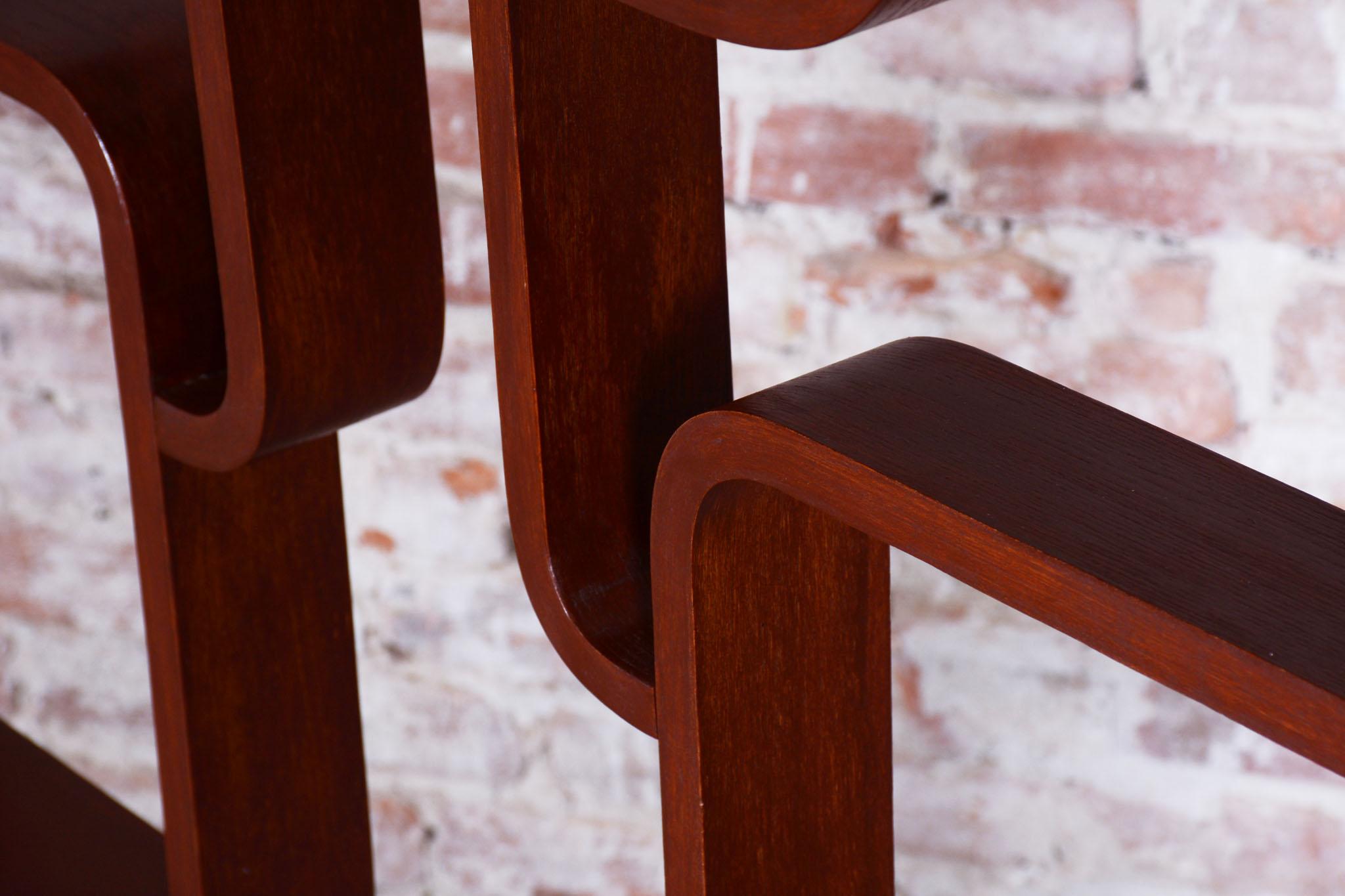 Restored MidCentury Divider, by Ludvik Volak, Revived Polish, Czech, 1960s For Sale 1