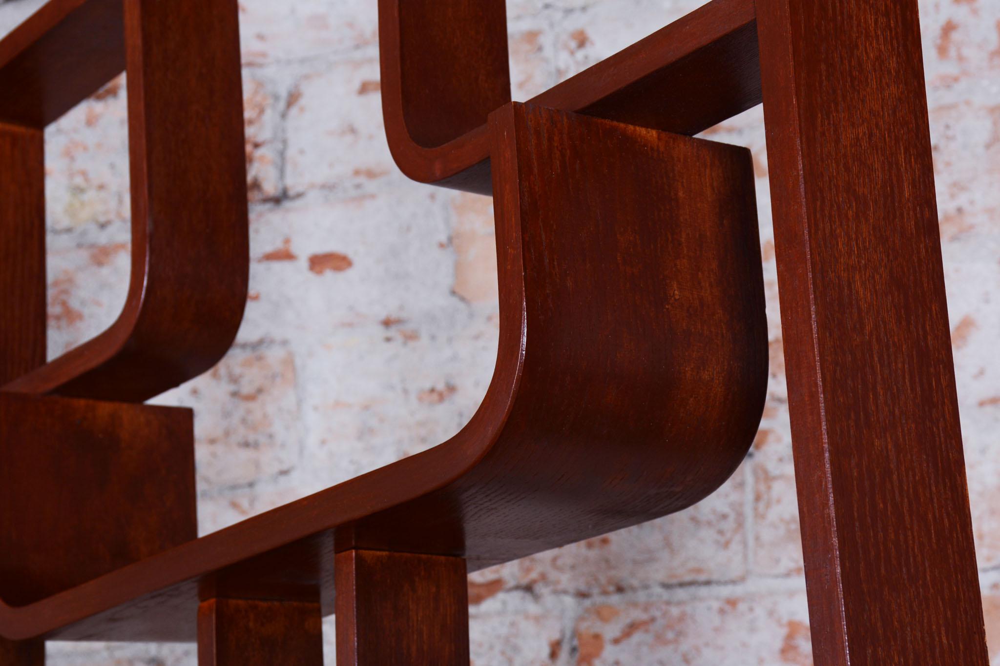 Restored MidCentury Divider, by Ludvik Volak, Revived Polish, Czech, 1960s For Sale 2